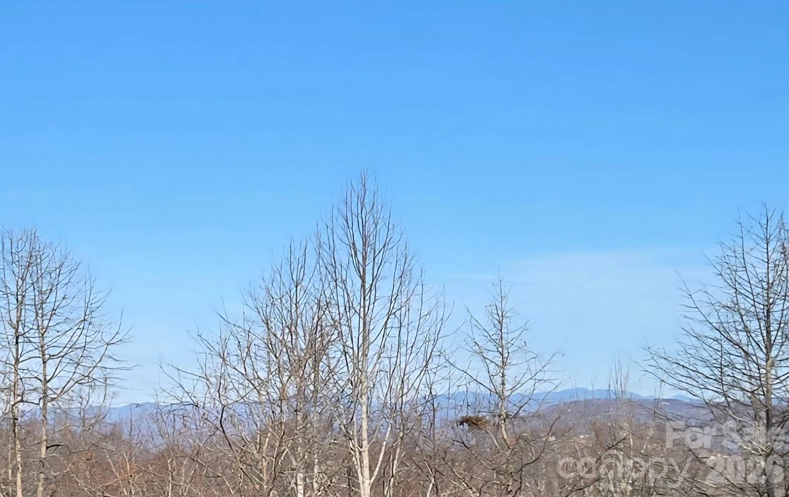 120 Breckenridge Court - Photo 25