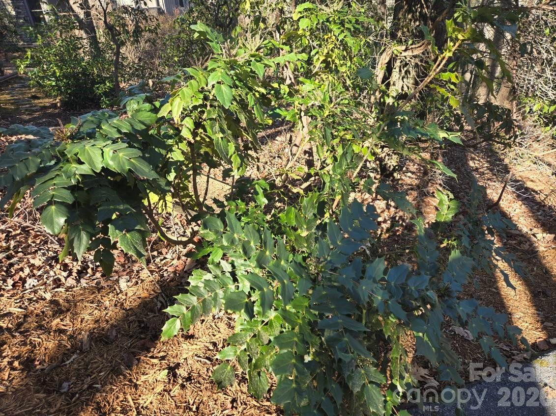 120 Breckenridge Court - Photo 46