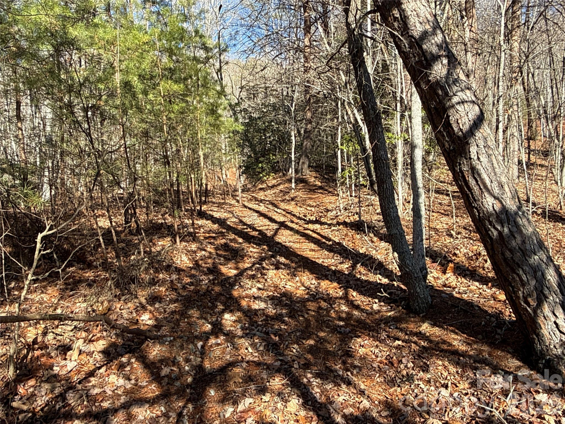 9999 Sealey Lane - Photo 2