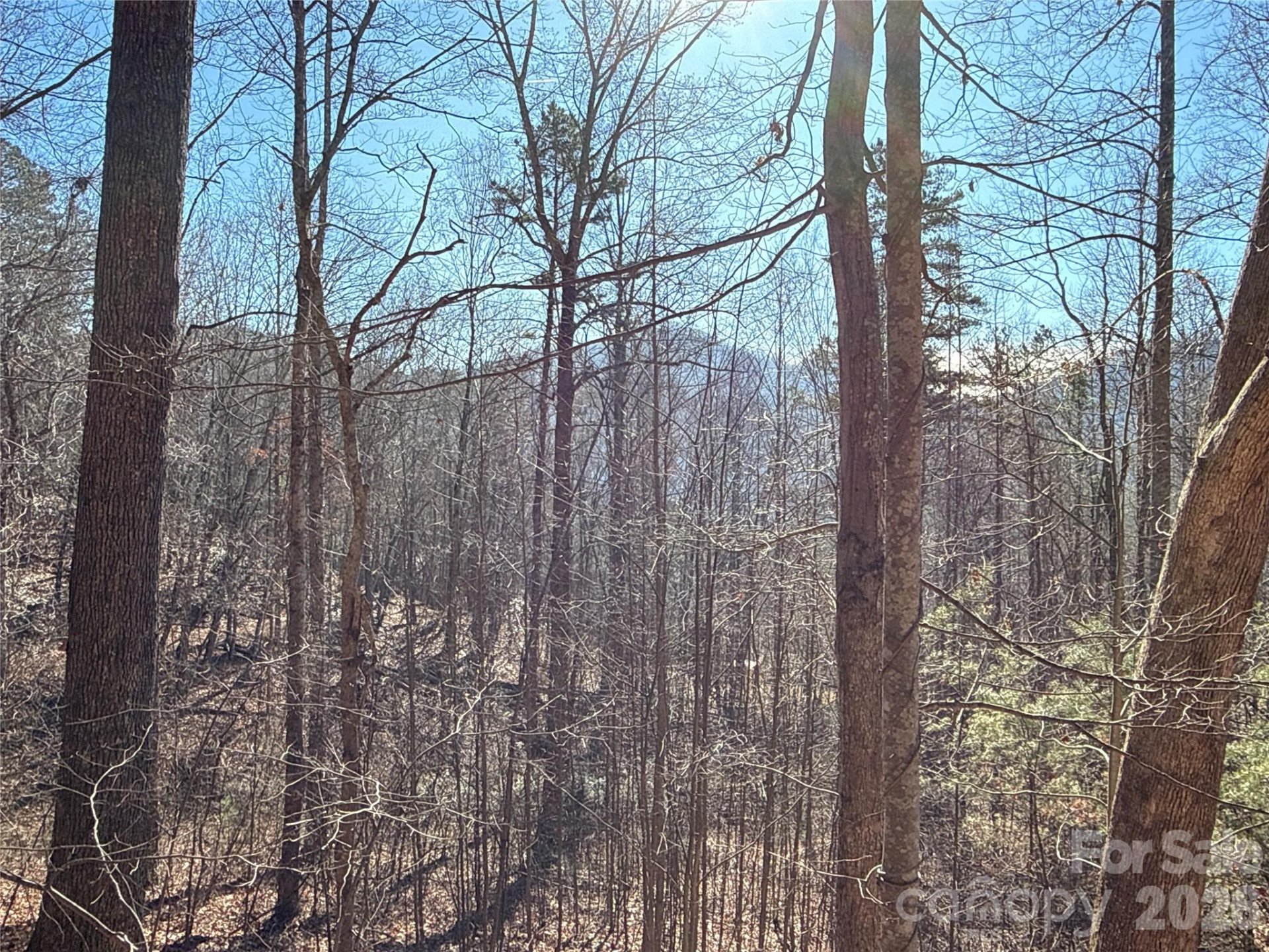 9999 Sealey Lane - Photo 11