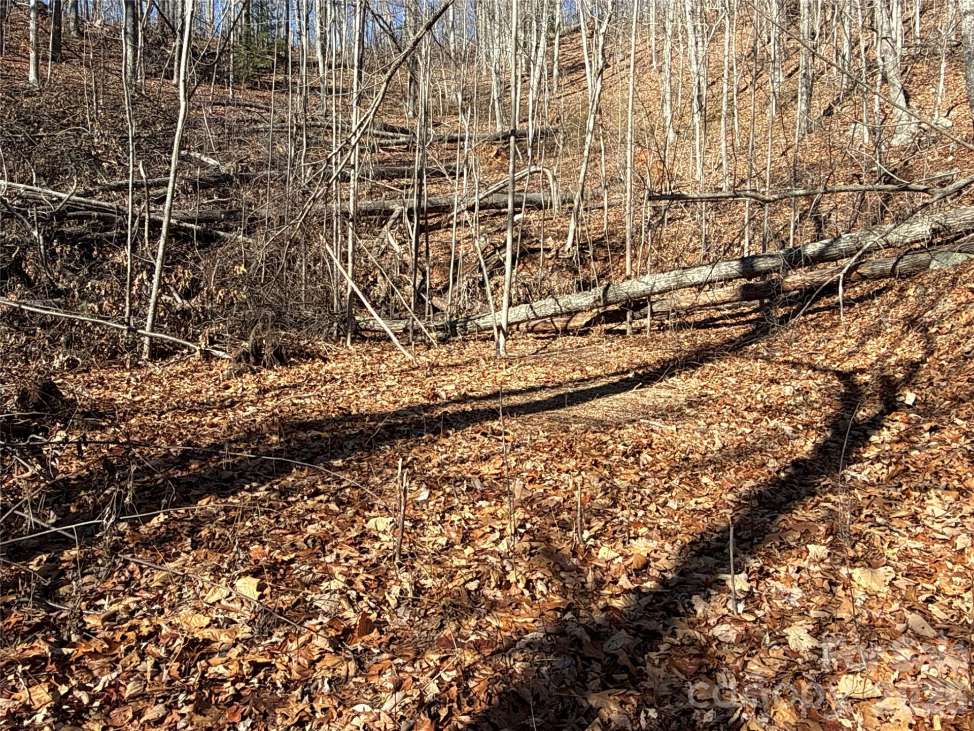 9999 Sealey Lane - Photo 12