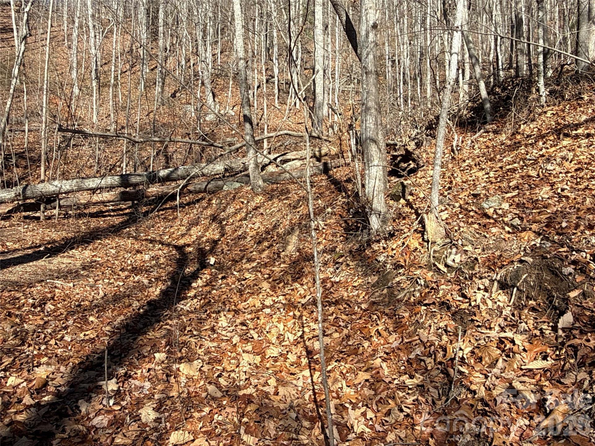 9999 Sealey Lane - Photo 13