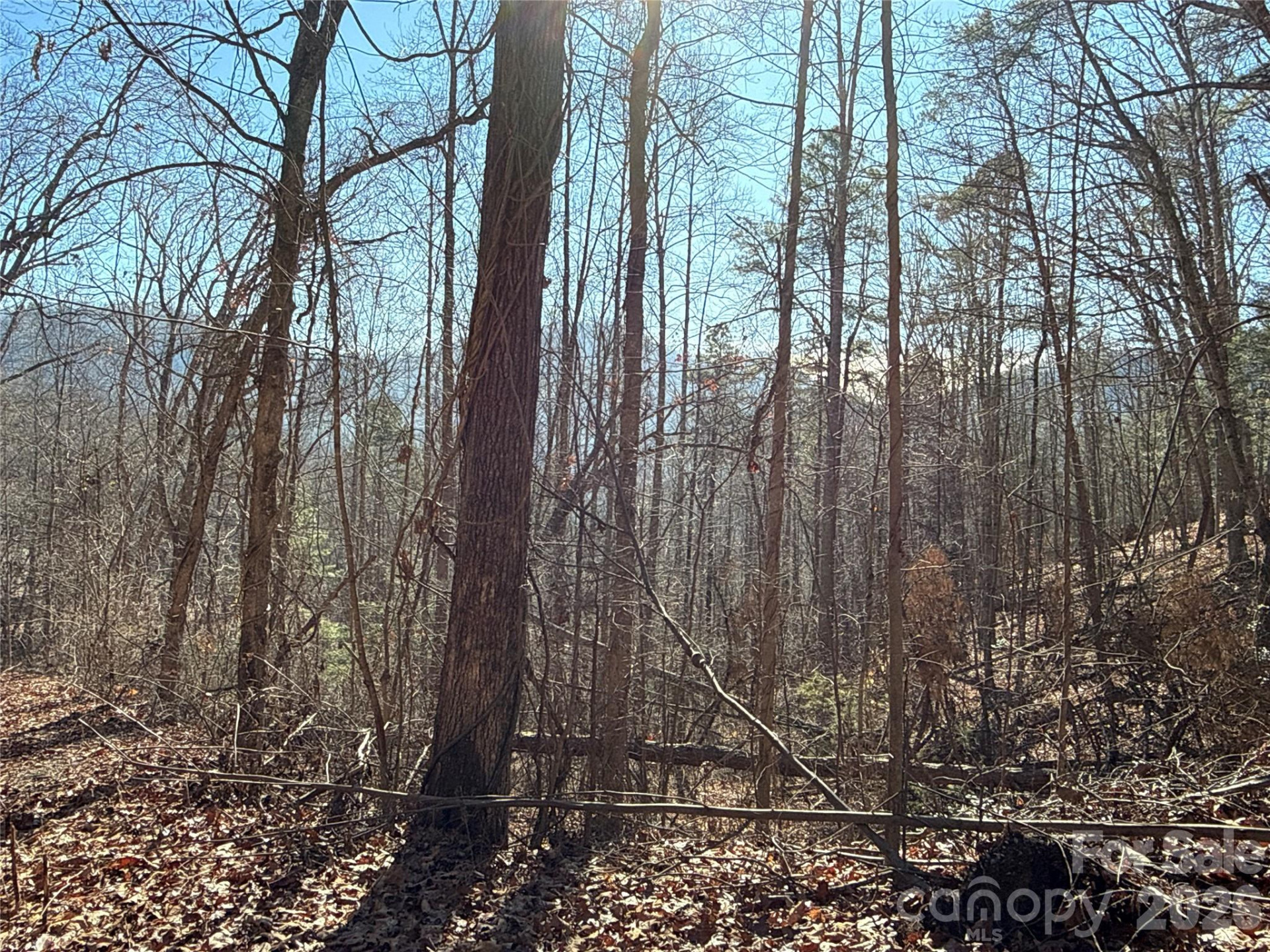 9999 Sealey Lane - Photo 14