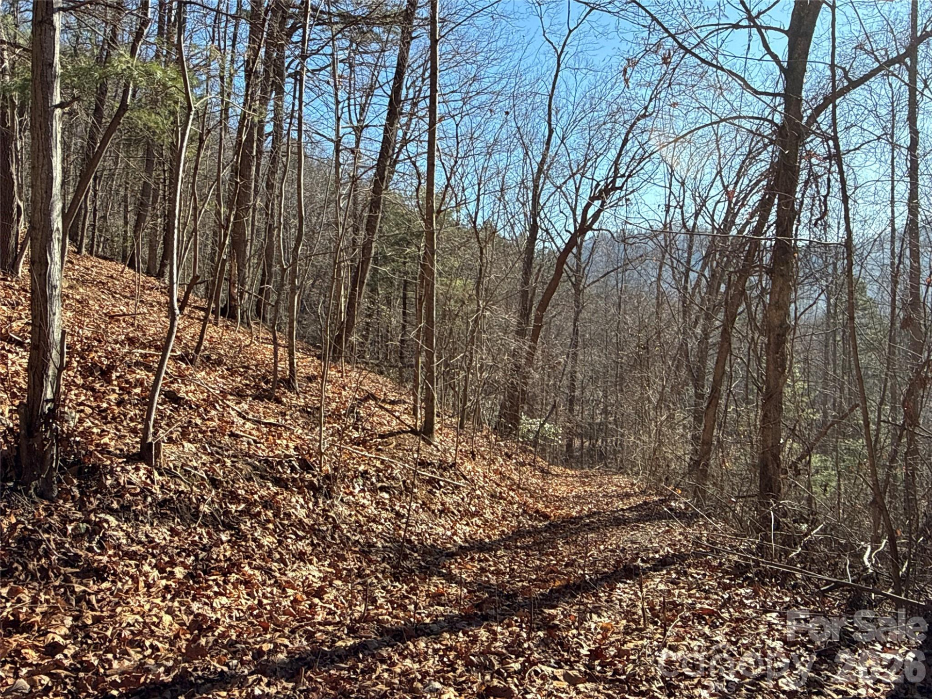 9999 Sealey Lane - Photo 15