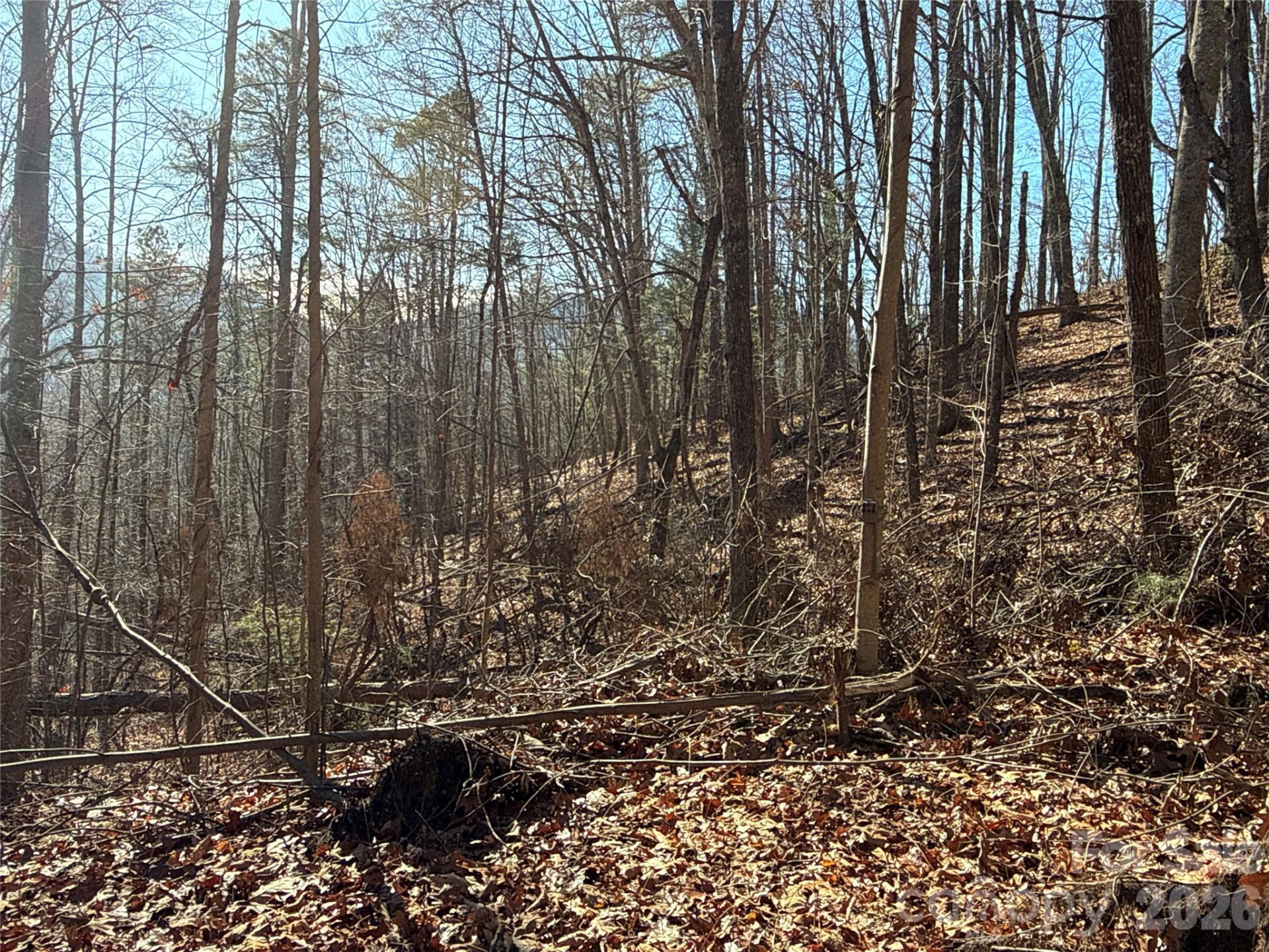 9999 Sealey Lane - Photo 16