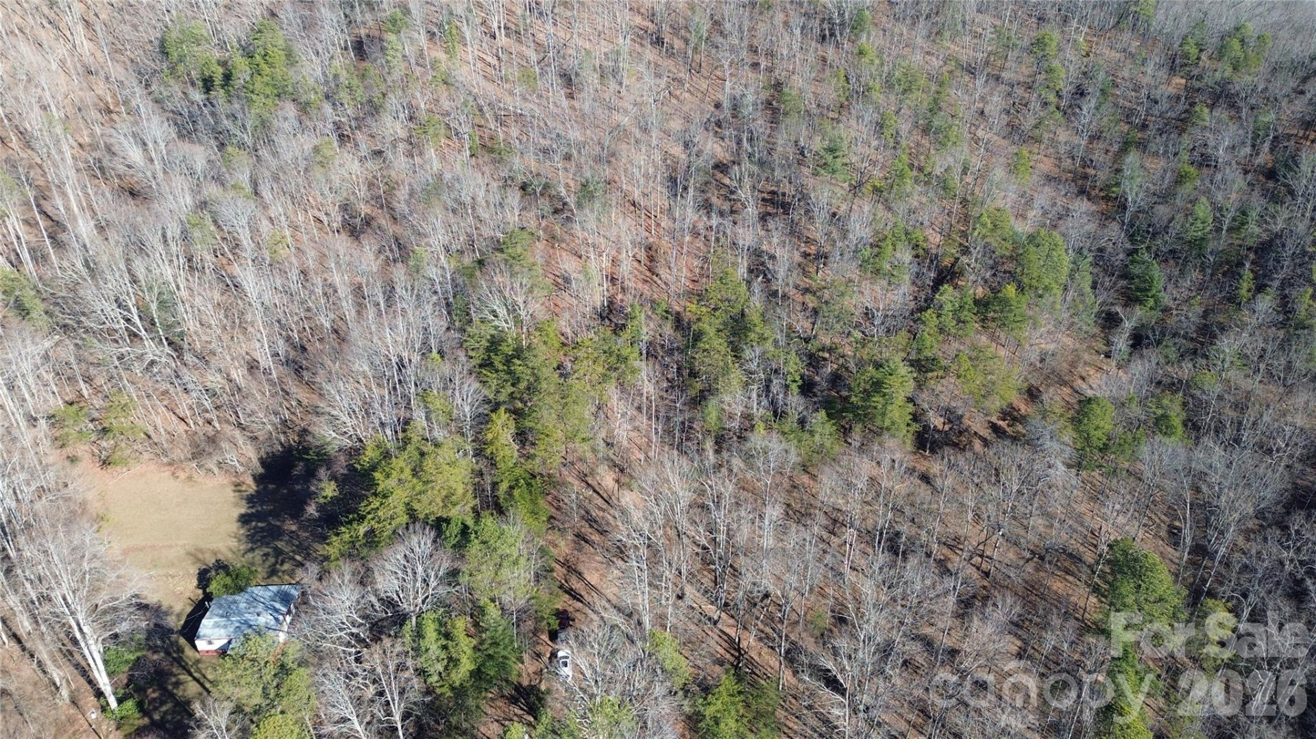 9999 Sealey Lane - Photo 18