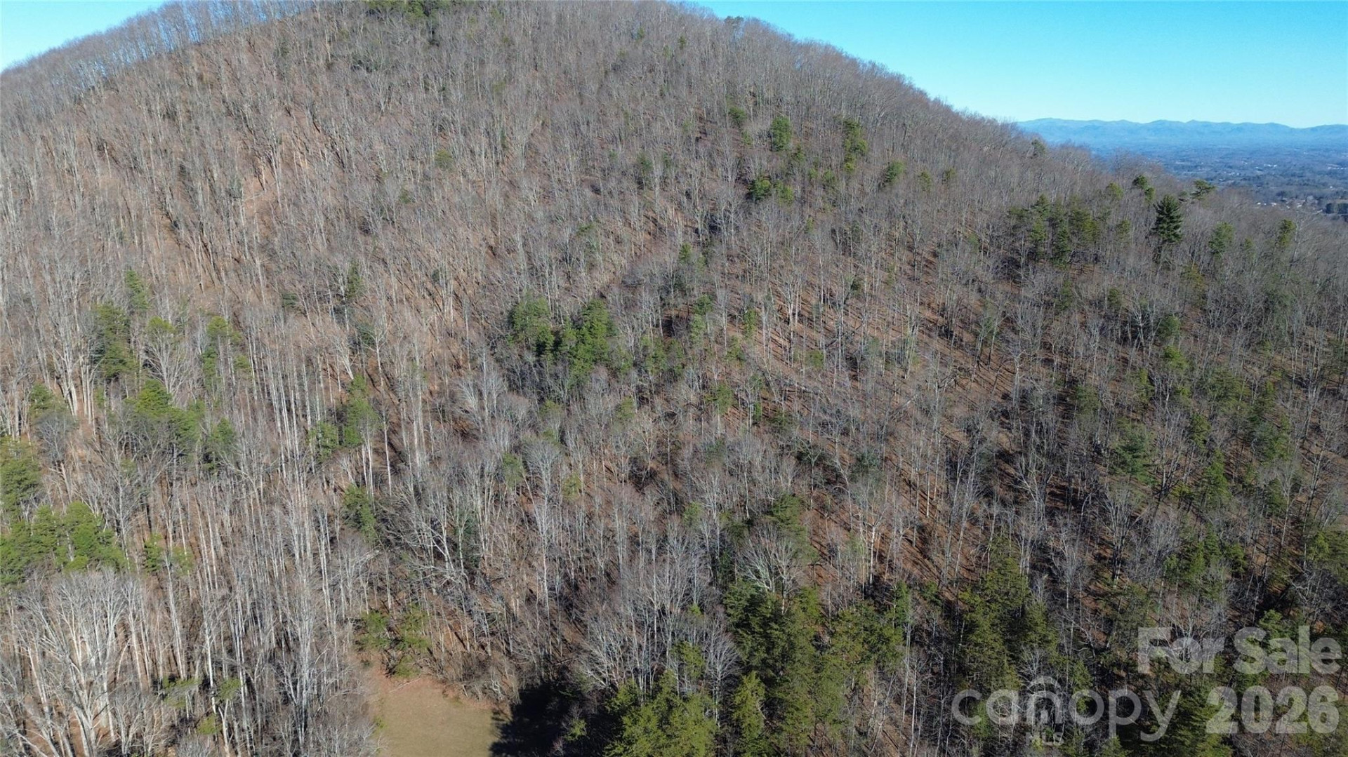 9999 Sealey Lane - Photo 19