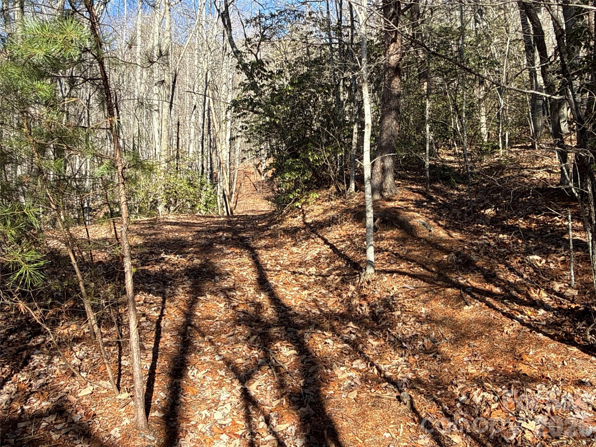 9999 Sealey Lane - Photo 3