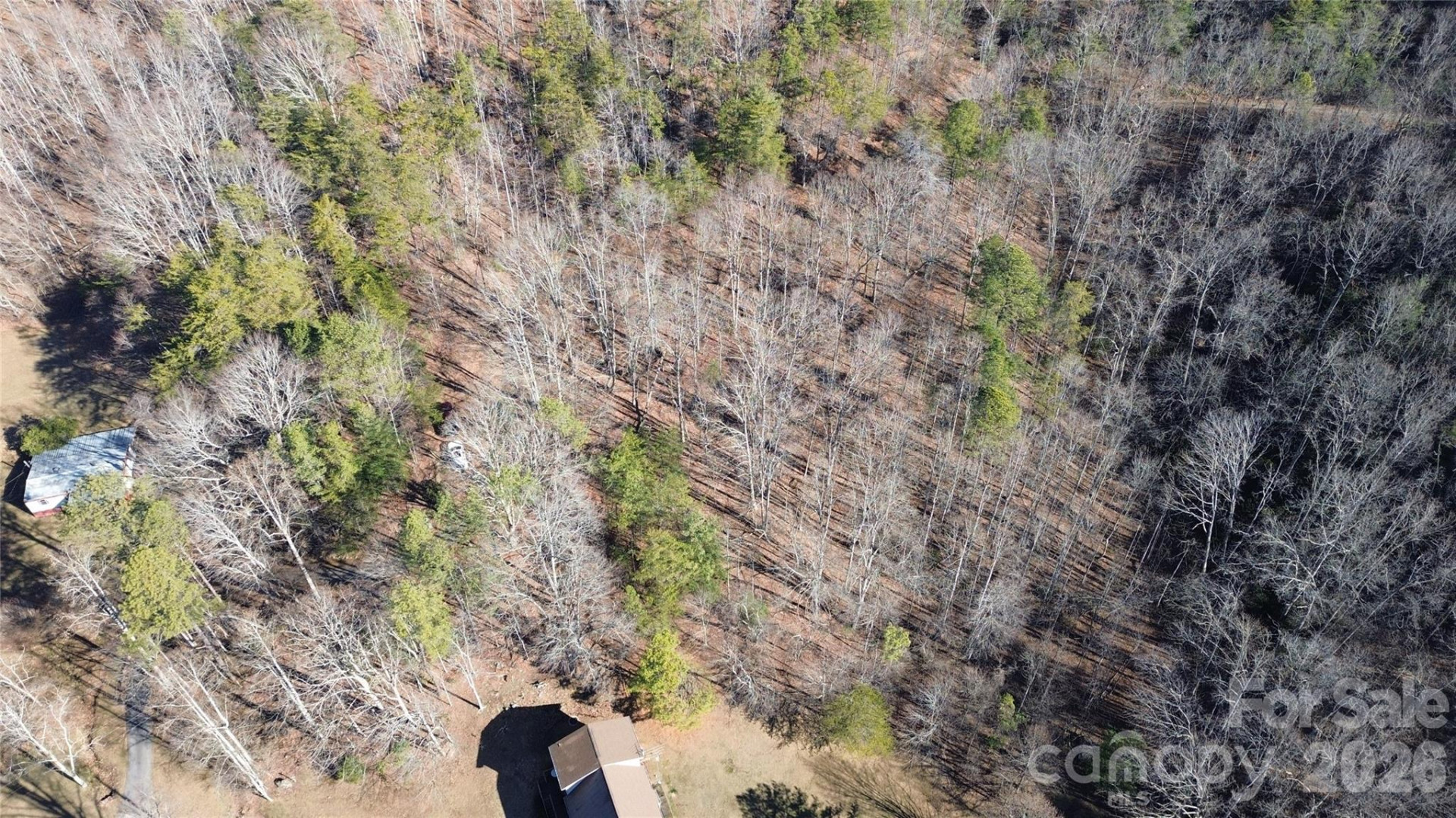 9999 Sealey Lane - Photo 22