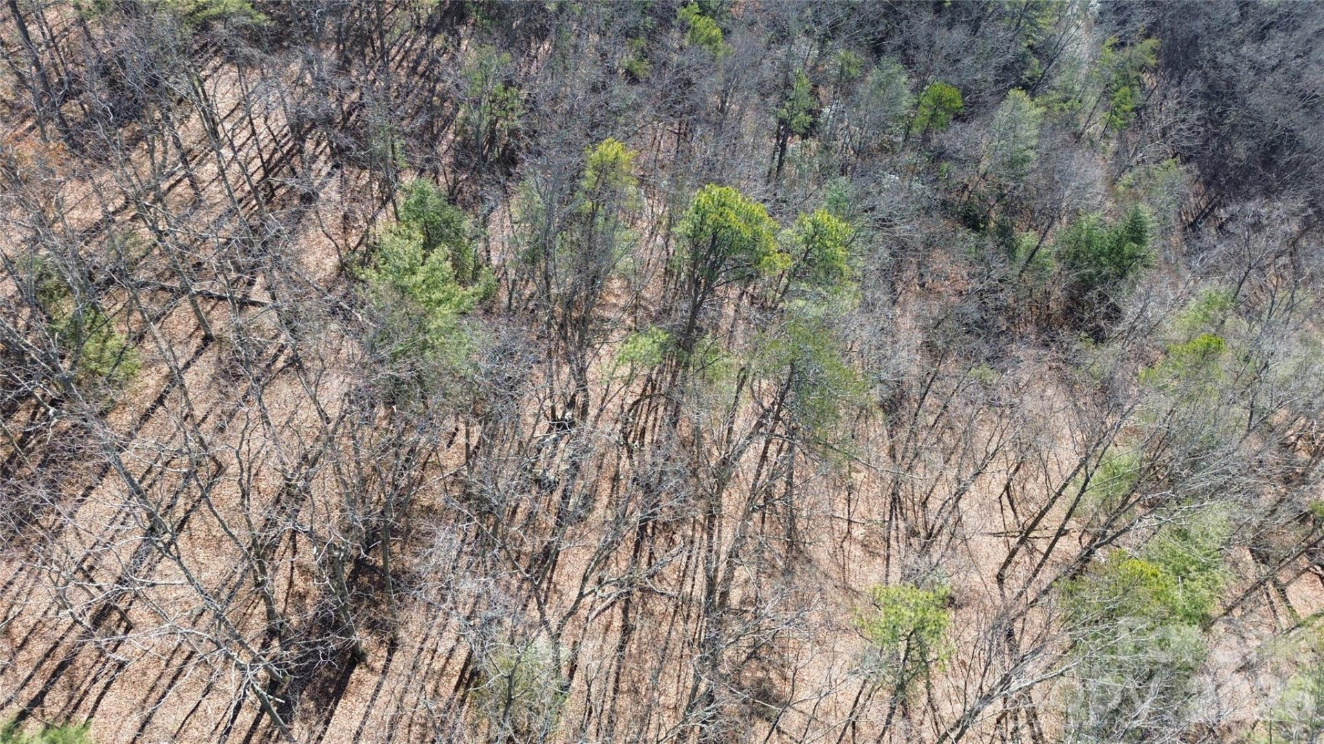 9999 Sealey Lane - Photo 25