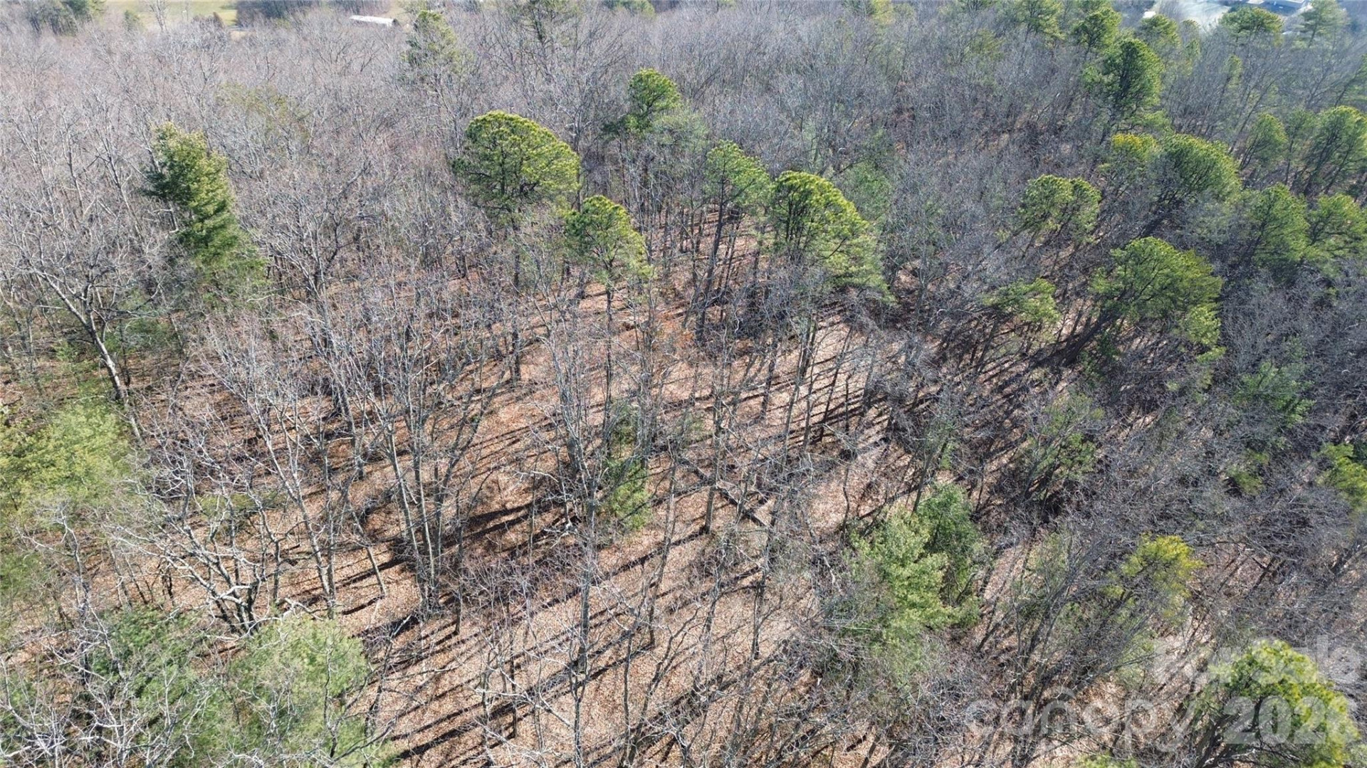 9999 Sealey Lane - Photo 26