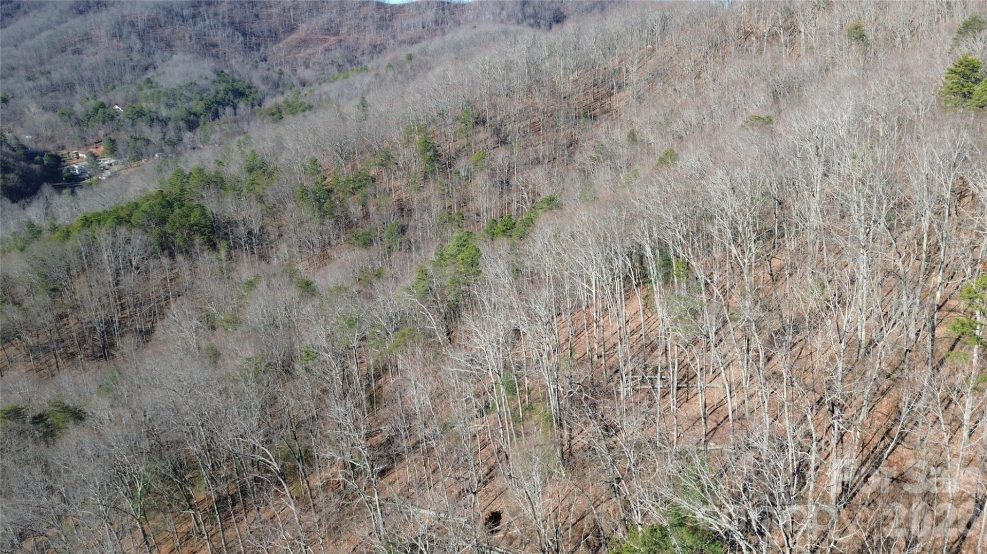 9999 Sealey Lane - Photo 28