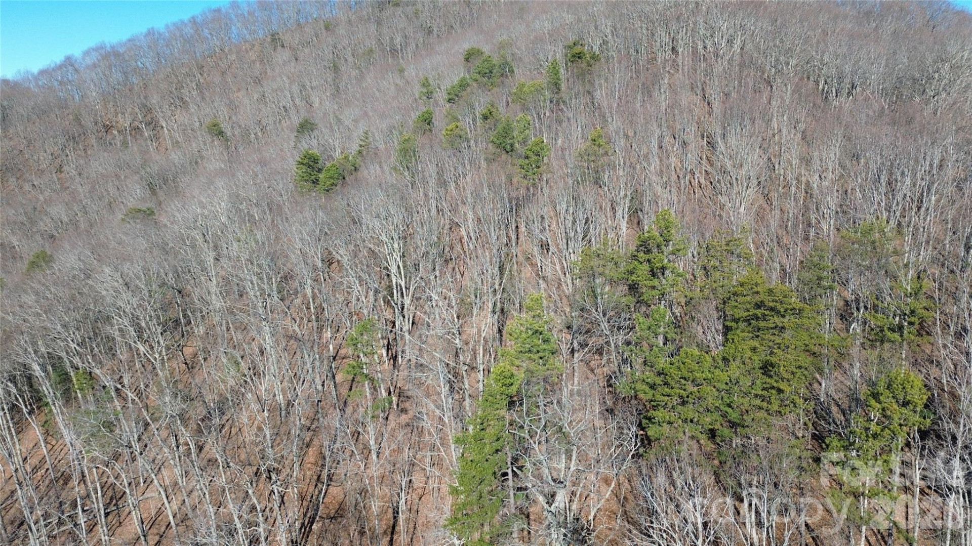 9999 Sealey Lane - Photo 29