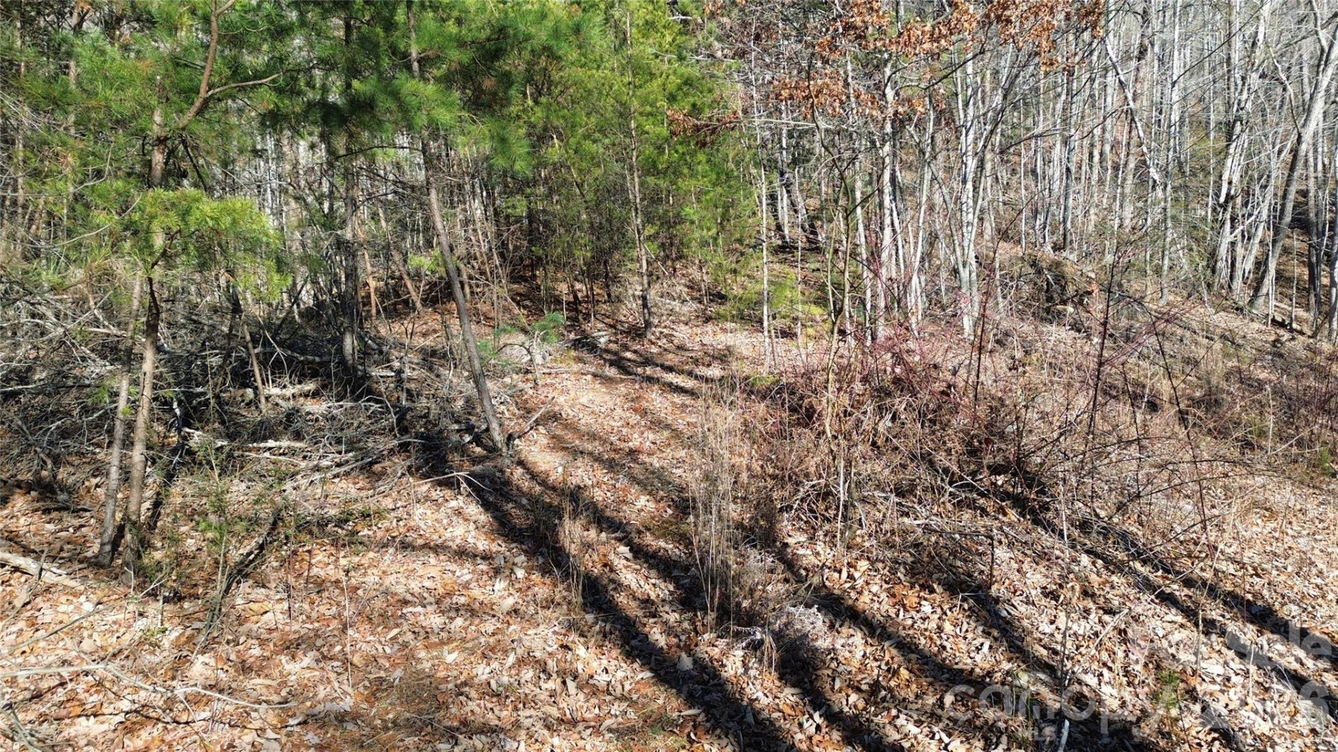 9999 Sealey Lane - Photo 31