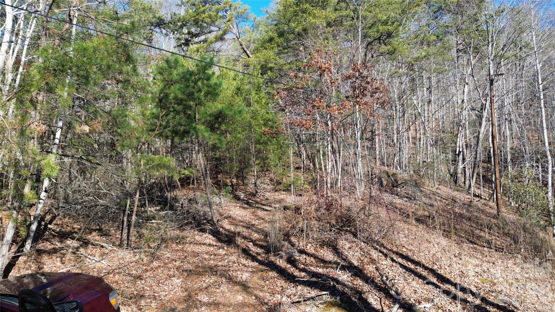 9999 Sealey Lane - Photo 32