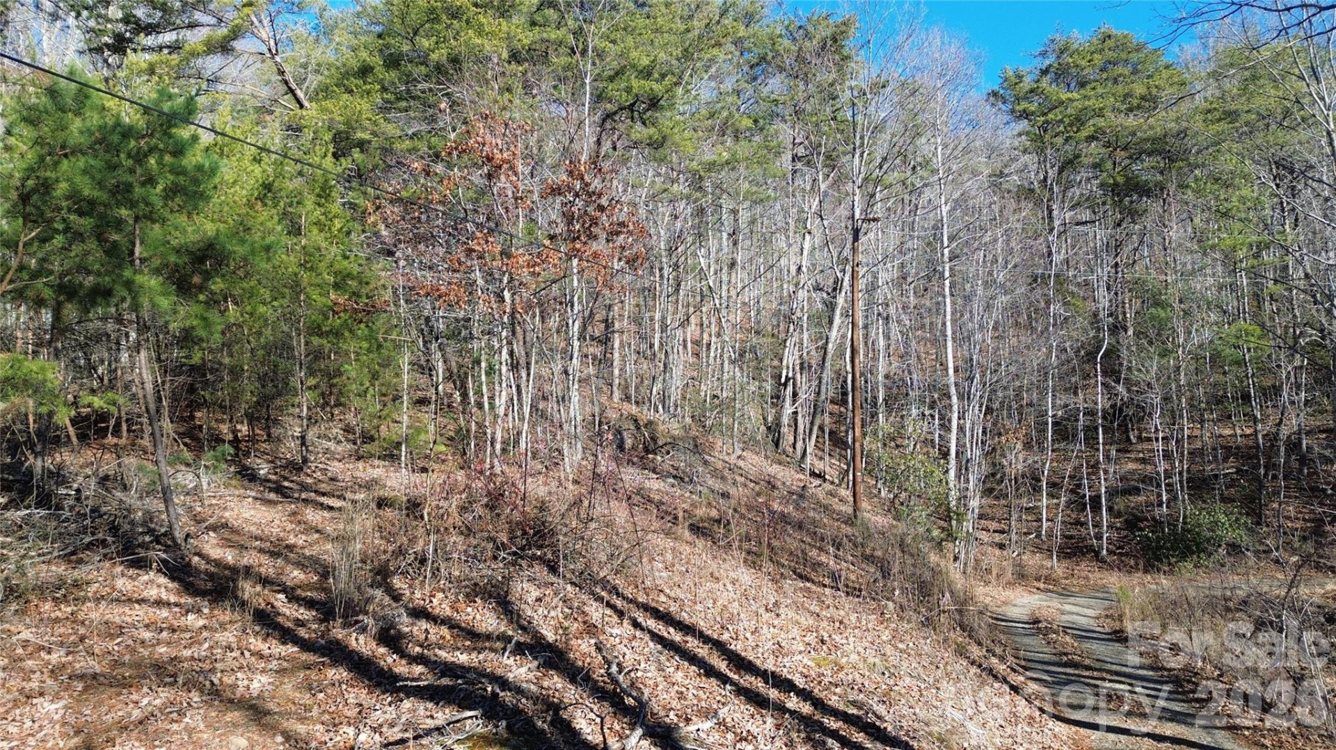 9999 Sealey Lane - Photo 33