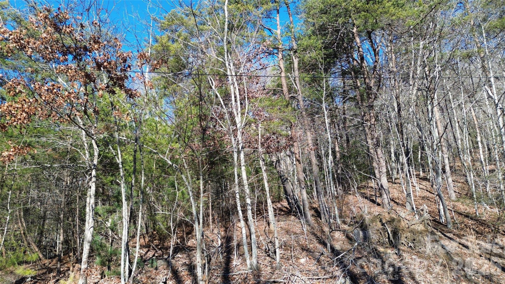 9999 Sealey Lane - Photo 34