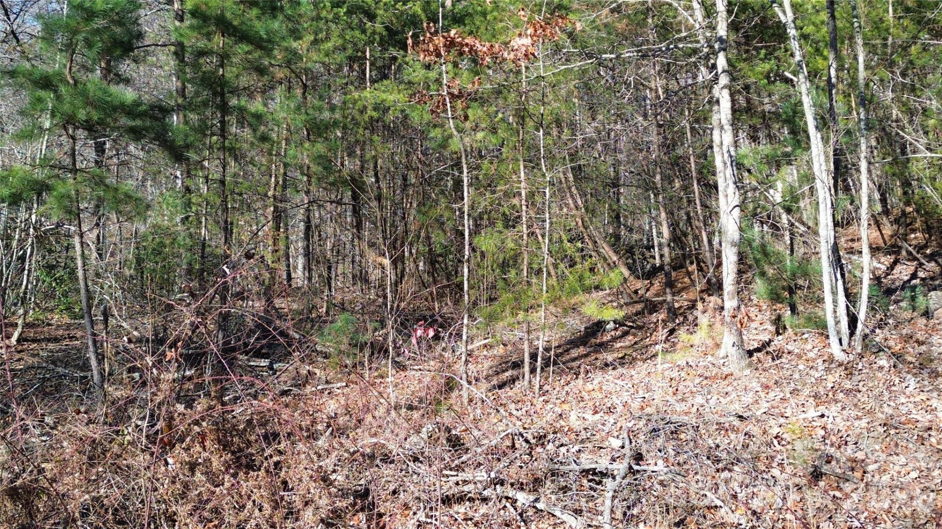 9999 Sealey Lane - Photo 35