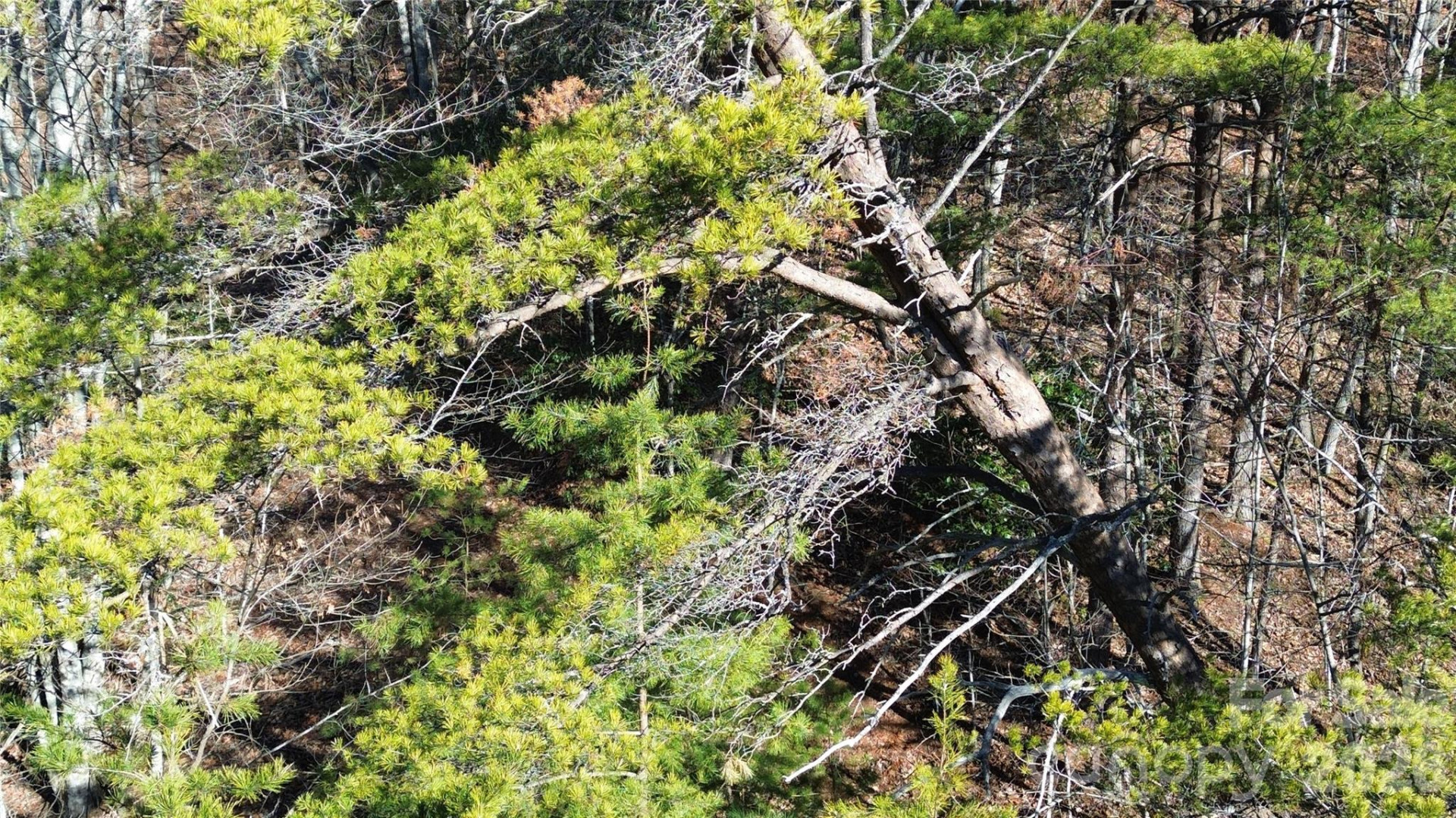 9999 Sealey Lane - Photo 36