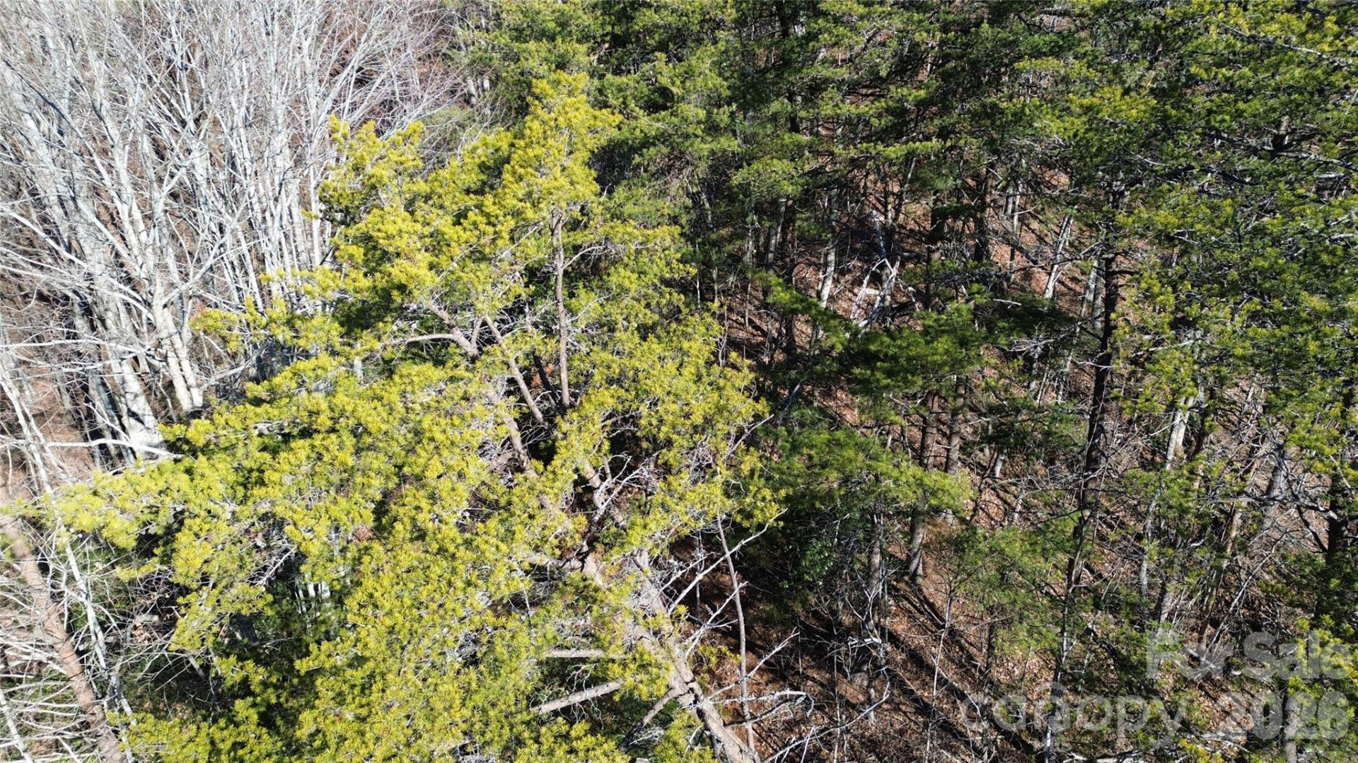 9999 Sealey Lane - Photo 37