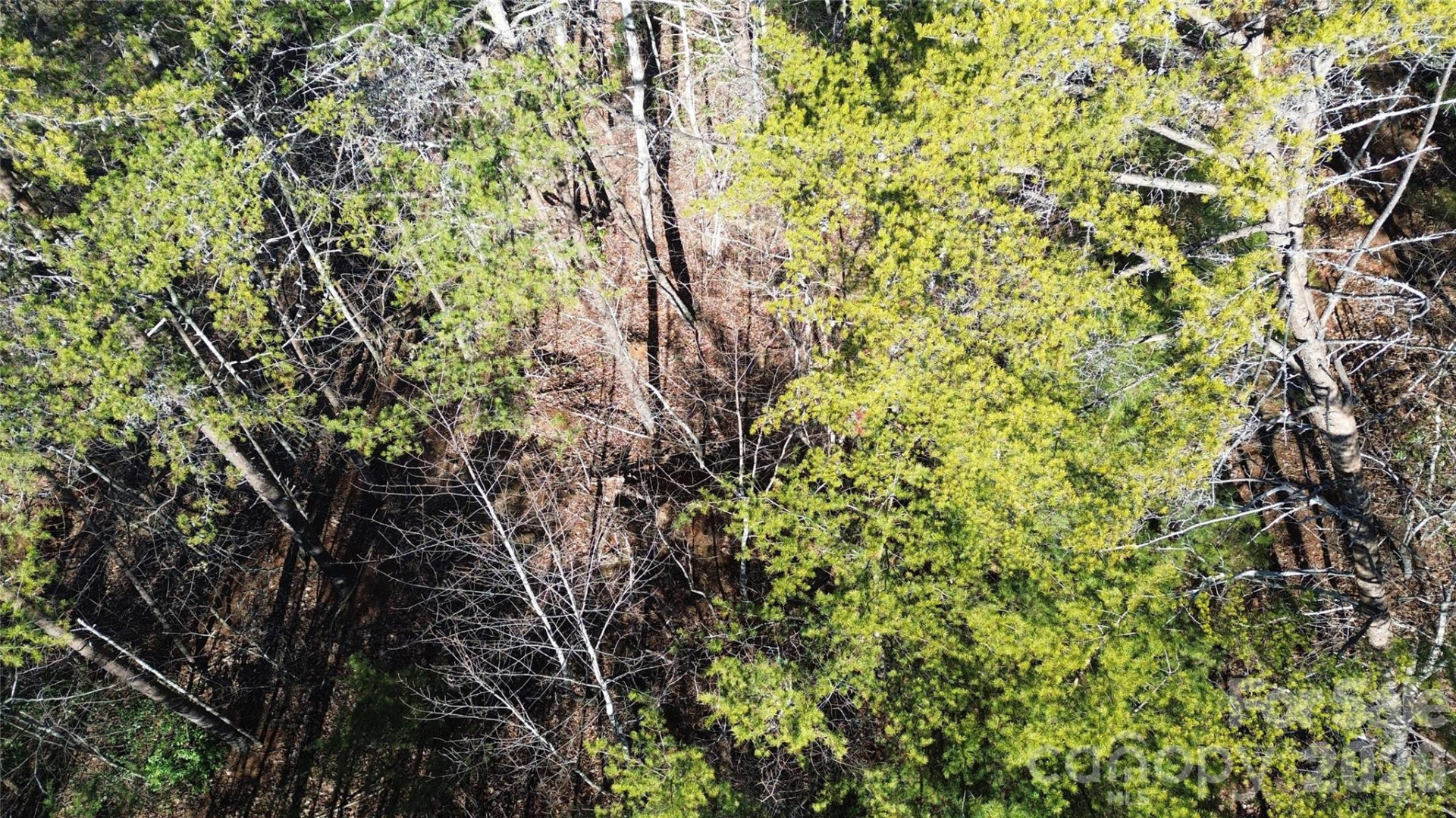 9999 Sealey Lane - Photo 38