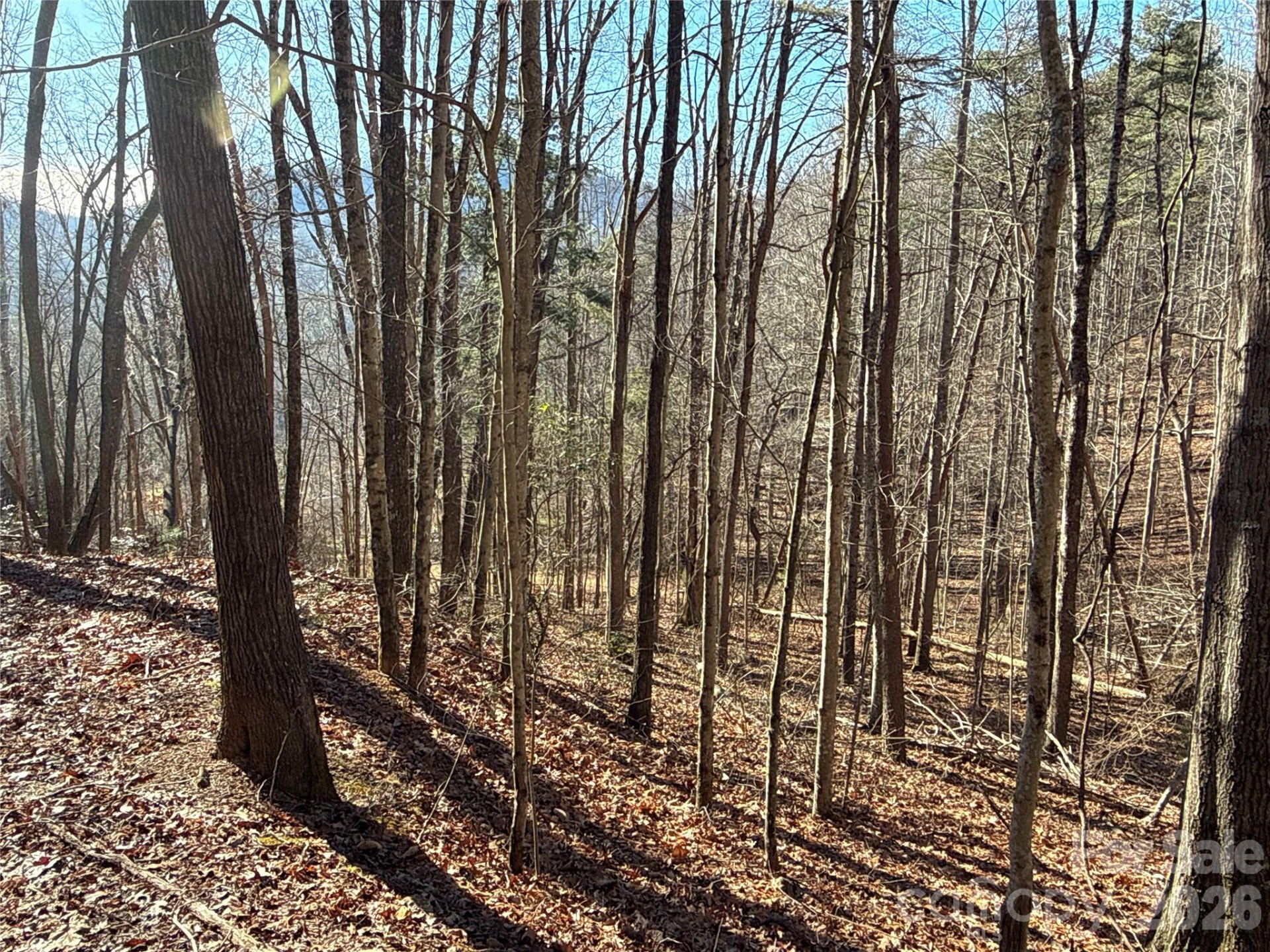 9999 Sealey Lane - Photo 5