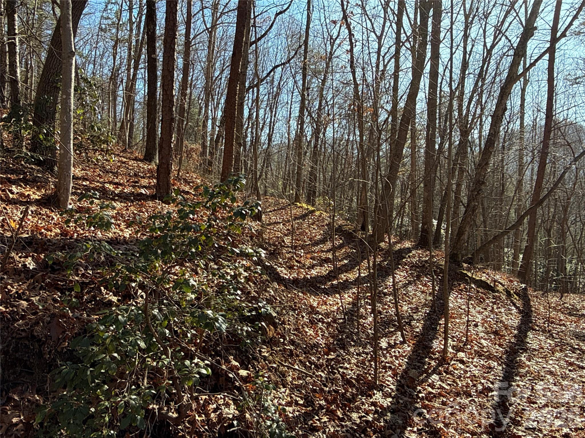 9999 Sealey Lane - Photo 6