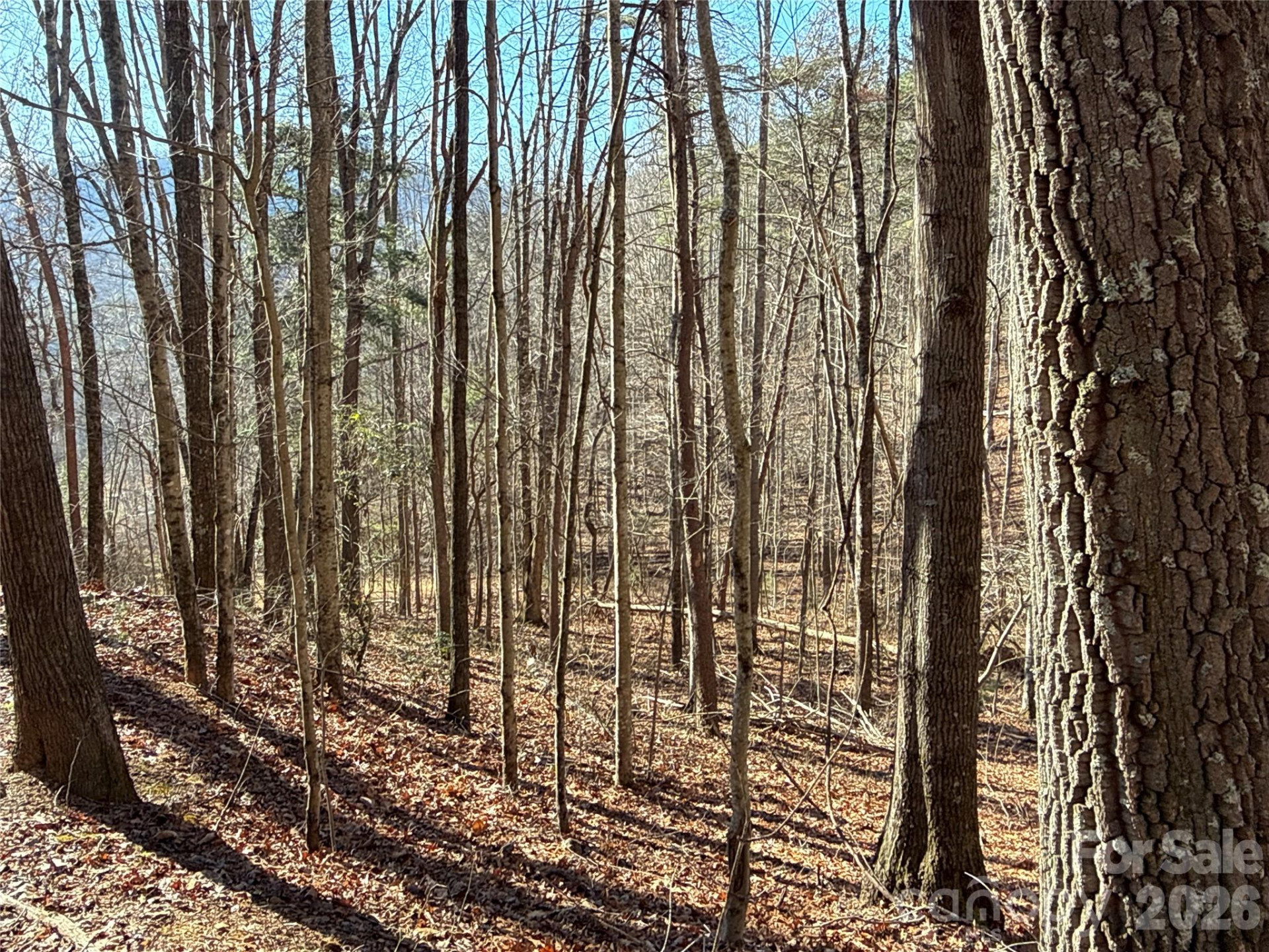 9999 Sealey Lane - Photo 7