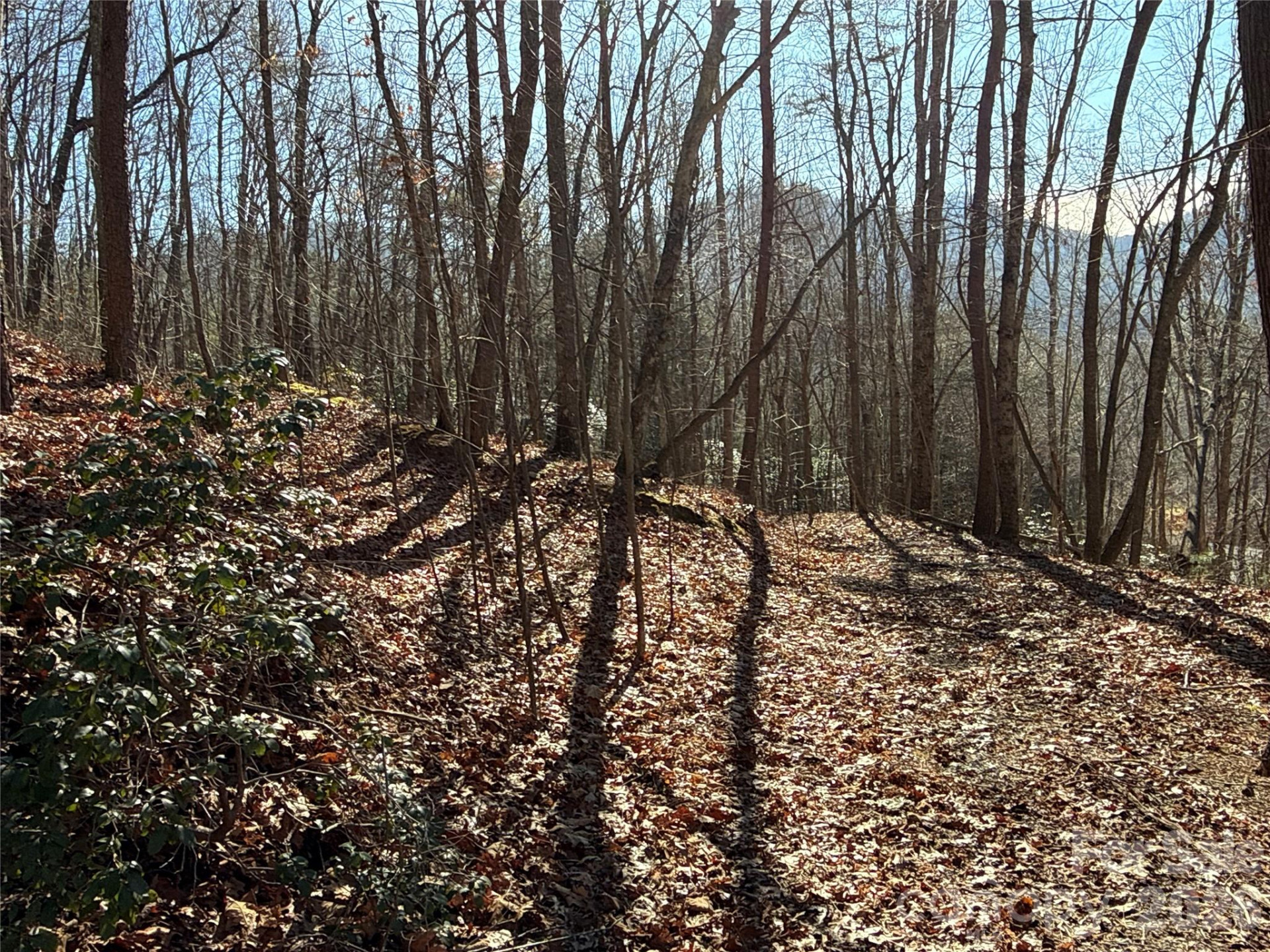 9999 Sealey Lane - Photo 8