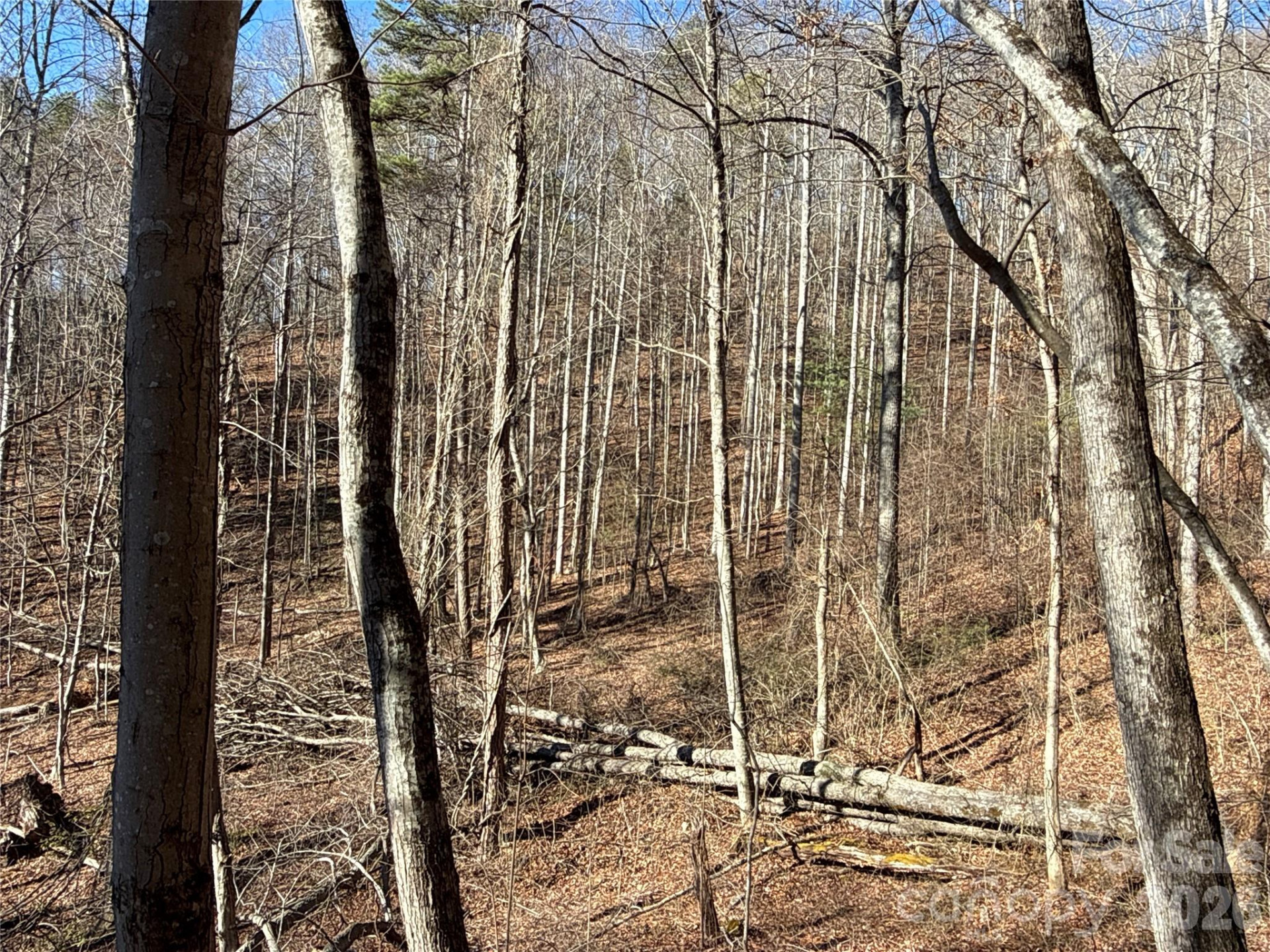 9999 Sealey Lane - Photo 9