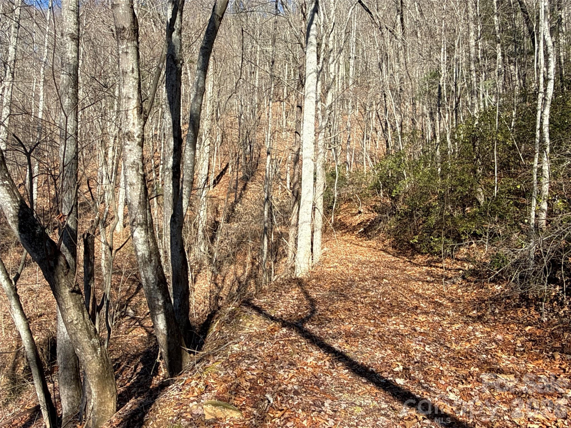 9999 Sealey Lane - Photo 10