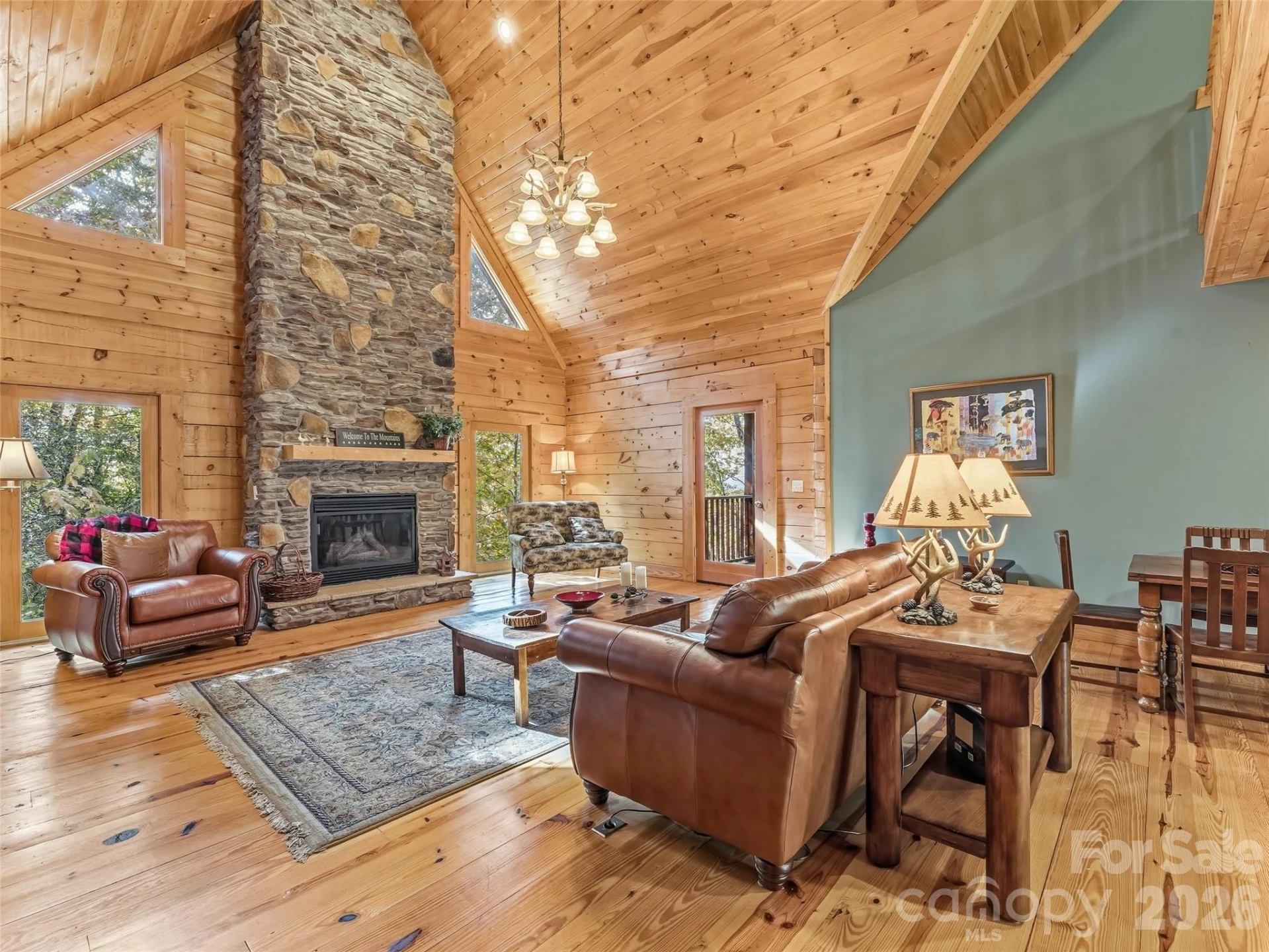167 Mountain Vista Drive - Photo 4