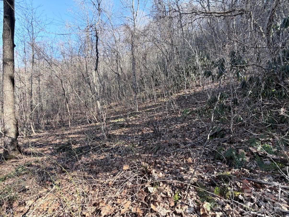 76 View Ridge Parkway #7 - Photo 4