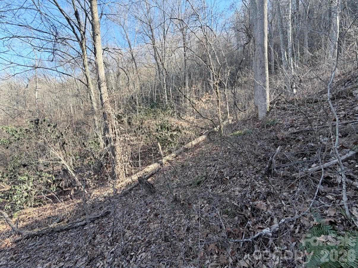 76 View Ridge Parkway #7 - Photo 5