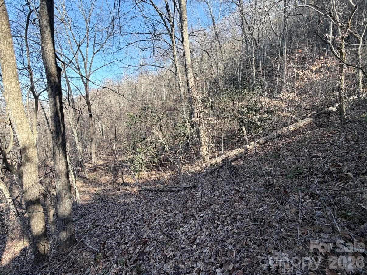 76 View Ridge Parkway #7 - Photo 6