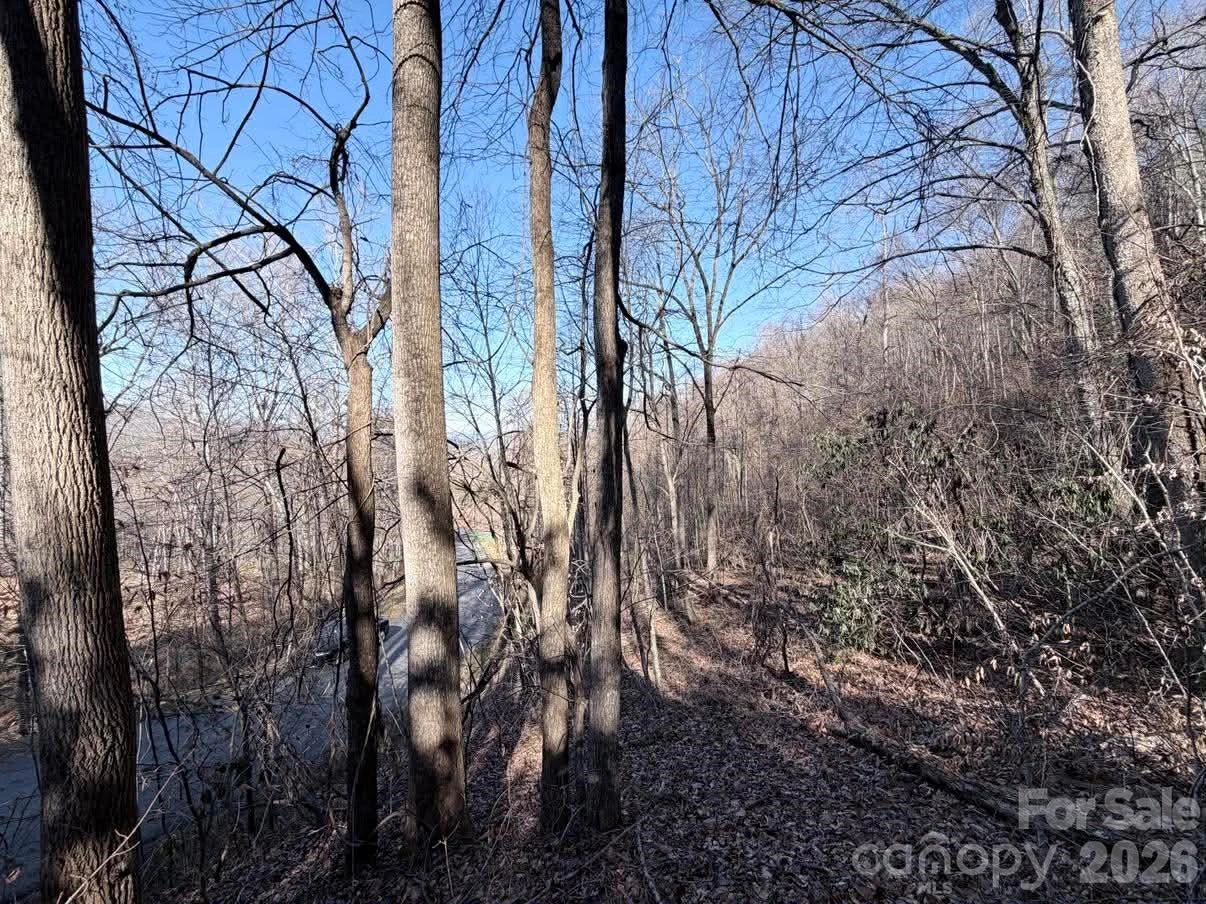 76 View Ridge Parkway #7 - Photo 7