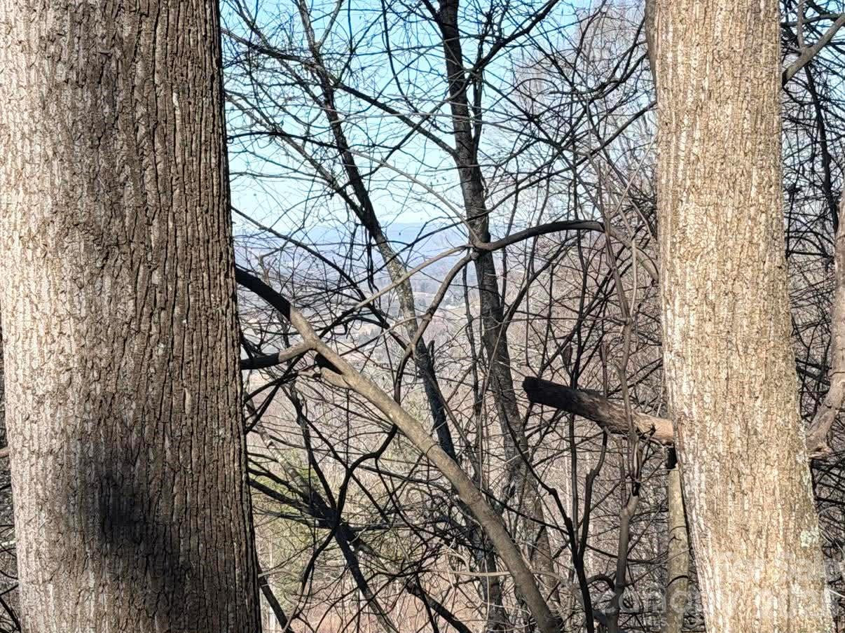 76 View Ridge Parkway #7 - Photo 8