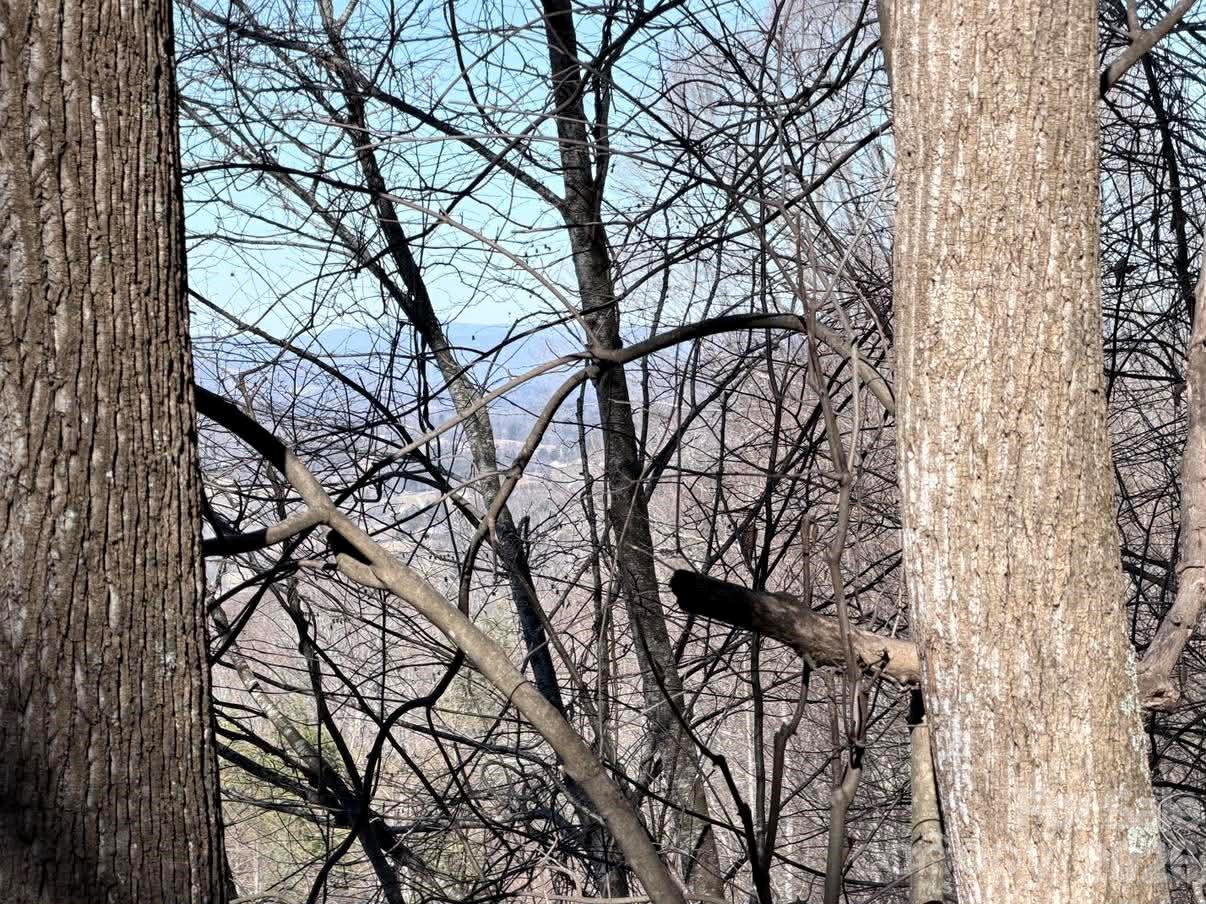 76 View Ridge Parkway #7 - Photo 9