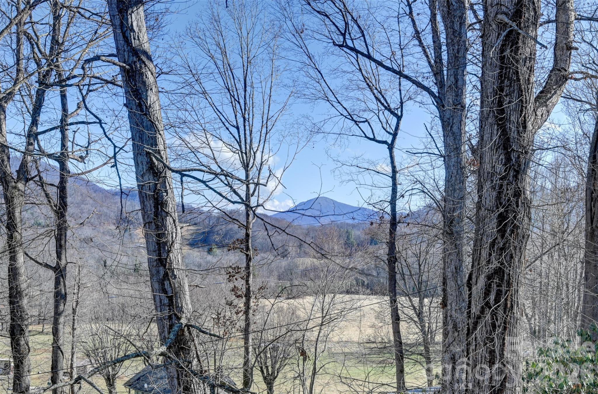 241 Sherrill Lane - Photo 5