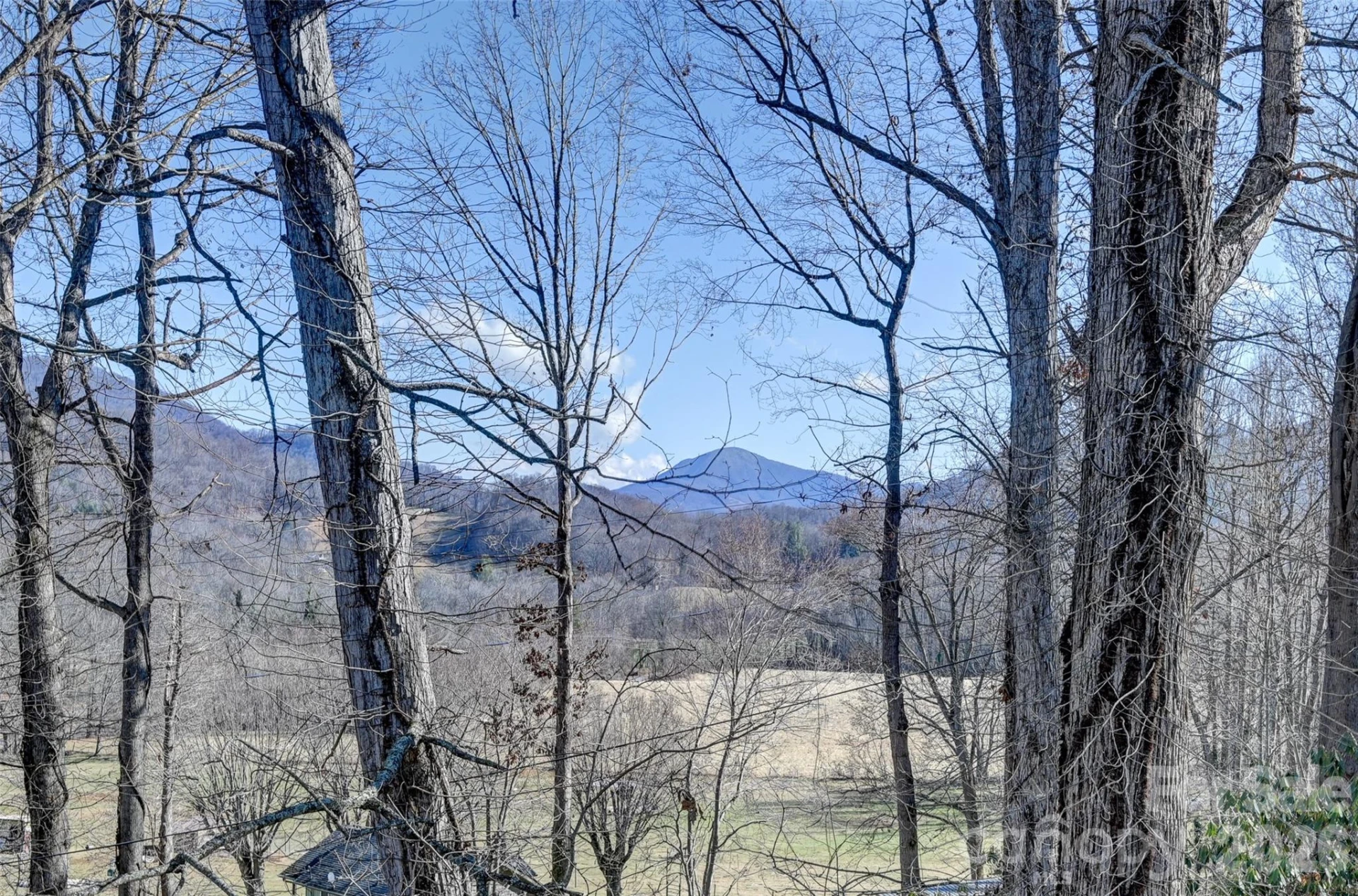 241 Sherrill Lane - Photo 5