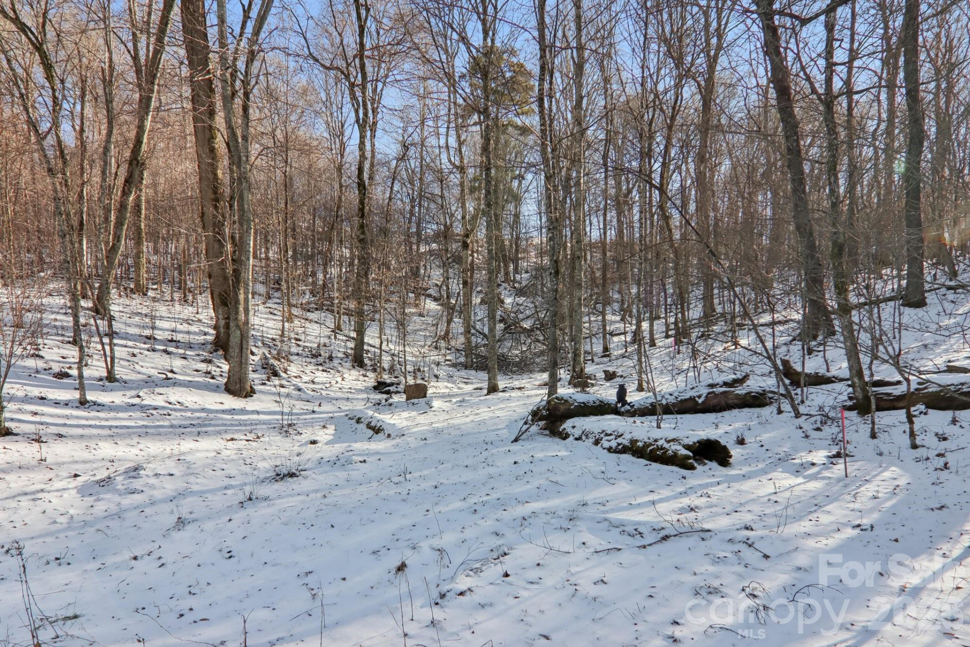 210 Spring Valley Drive #624 & 625 - Photo 28