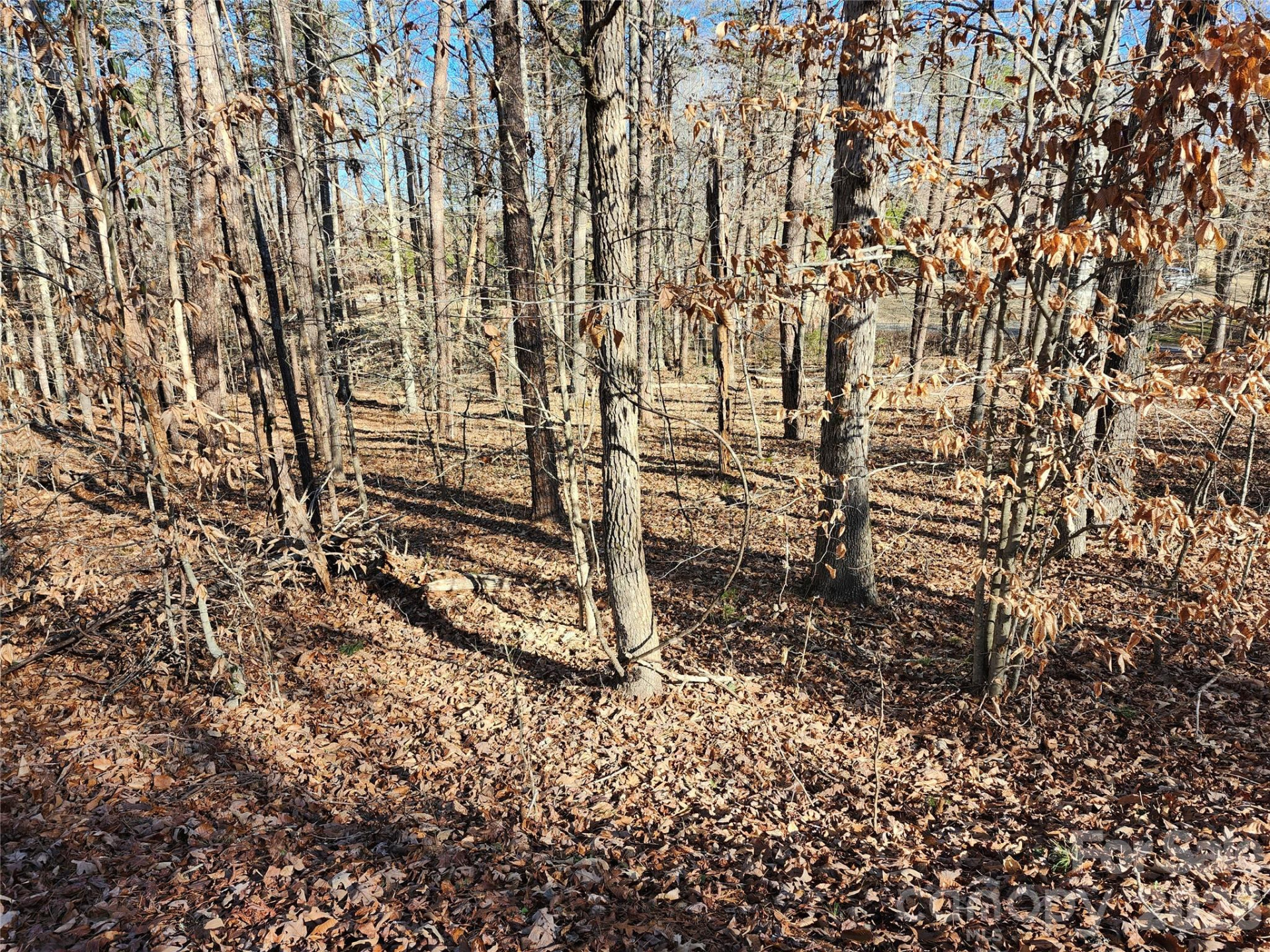 0000 Forest Ridge Road #22