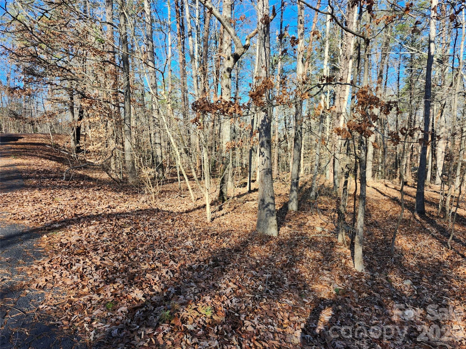 0000 Forest Ridge Road #22 - Photo 2
