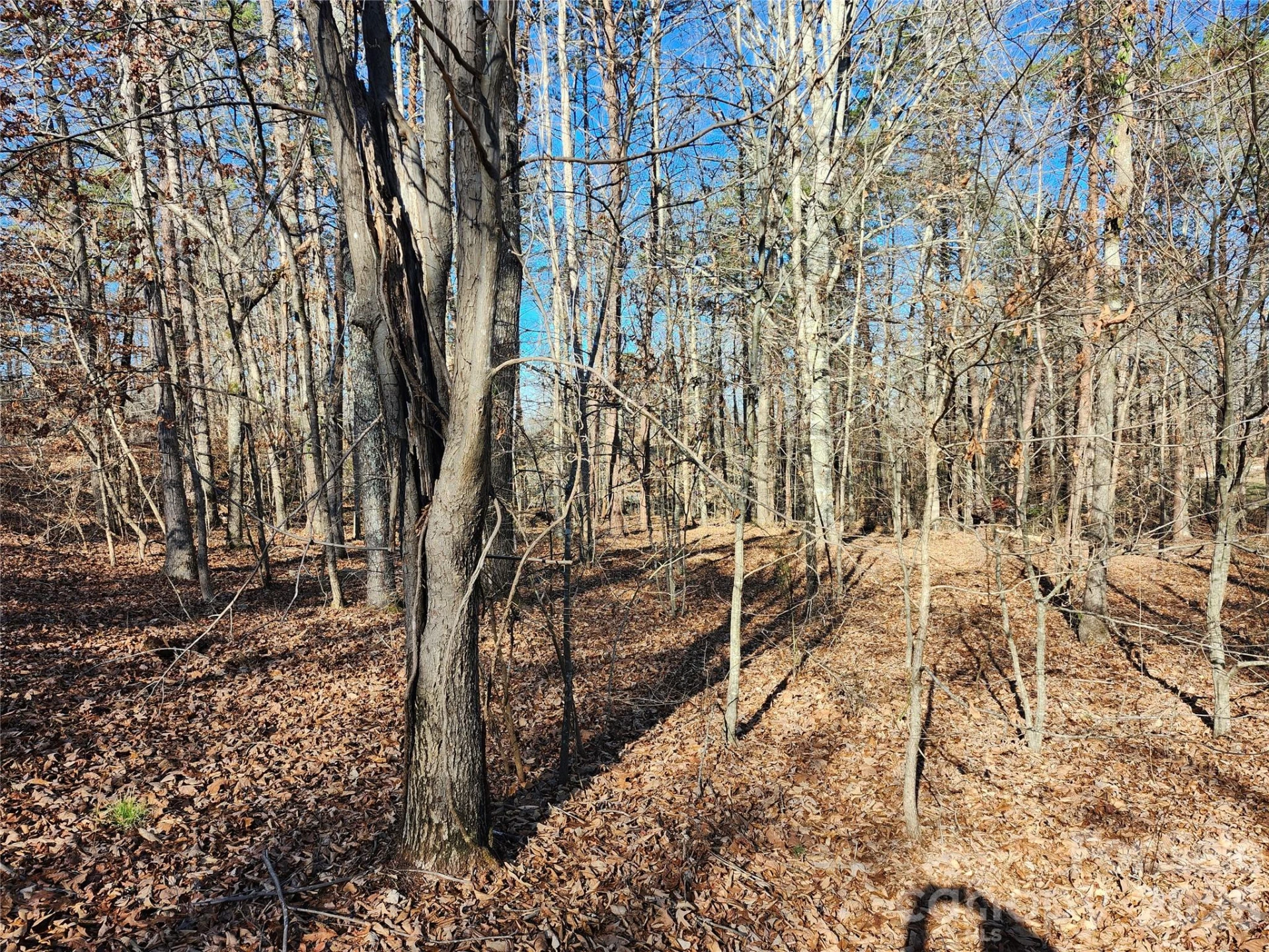 0000 Forest Ridge Road #22 - Photo 3