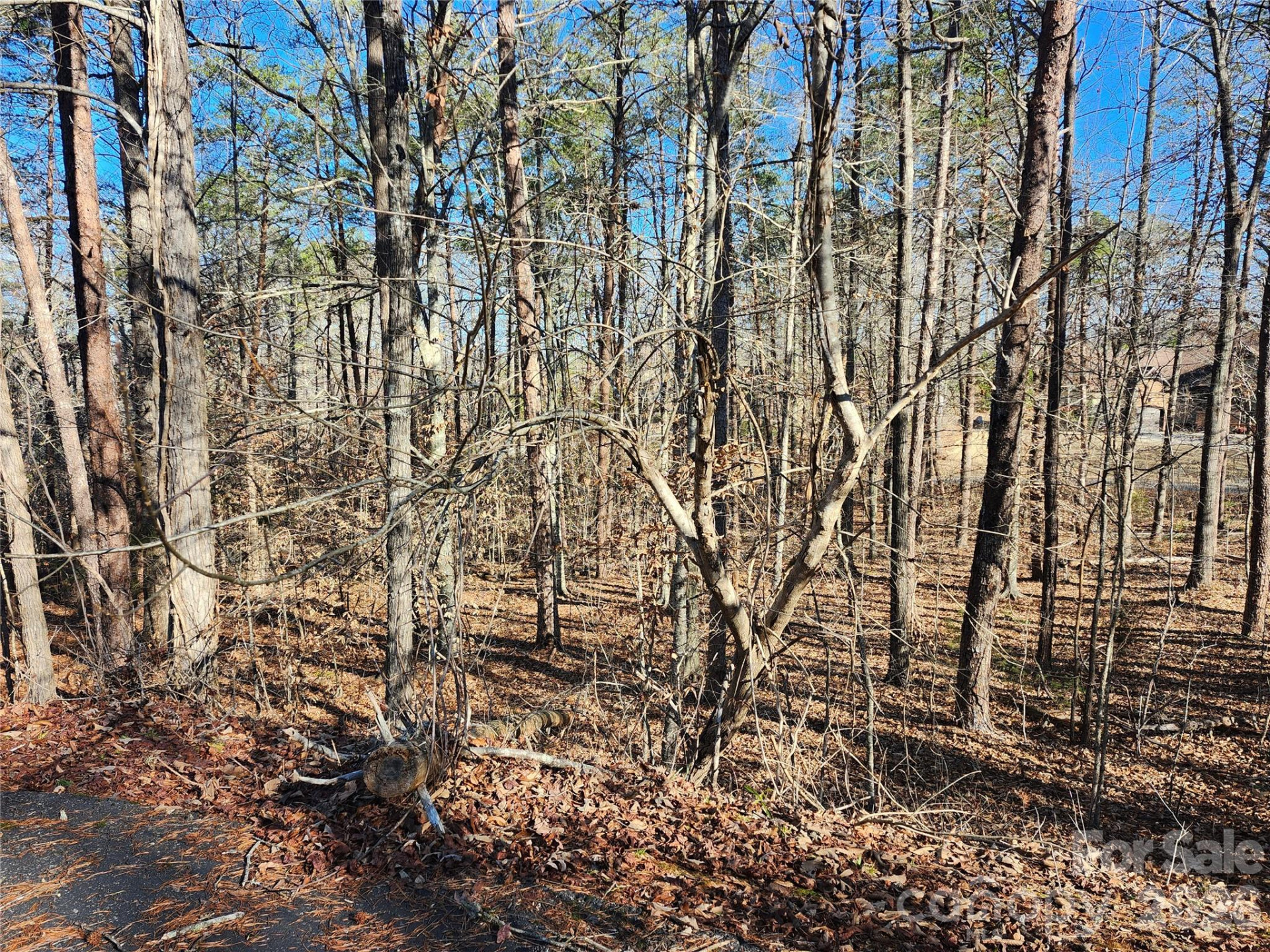 0000 Forest Ridge Road #22 - Photo 4