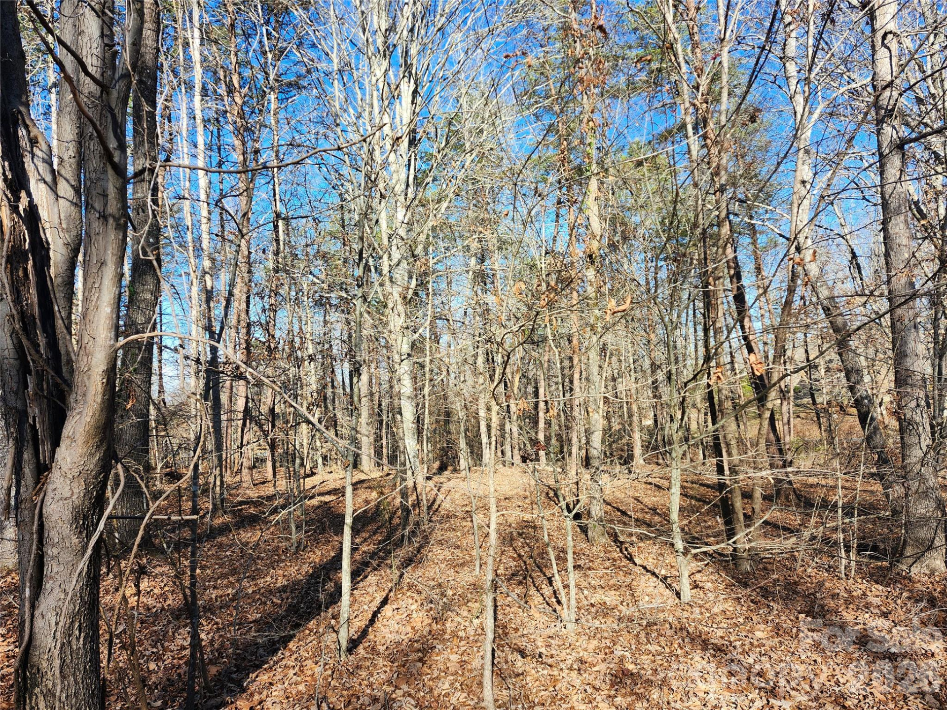 0000 Forest Ridge Road #22 - Photo 5