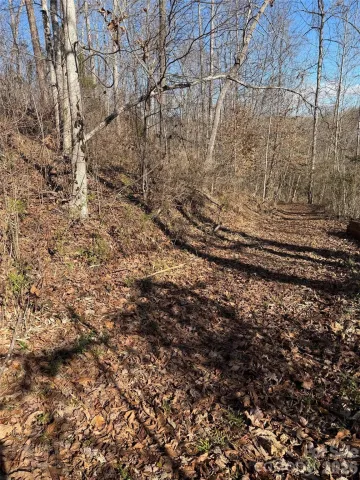 000 Rambling Creek Road, Tryon, NC, 28782
