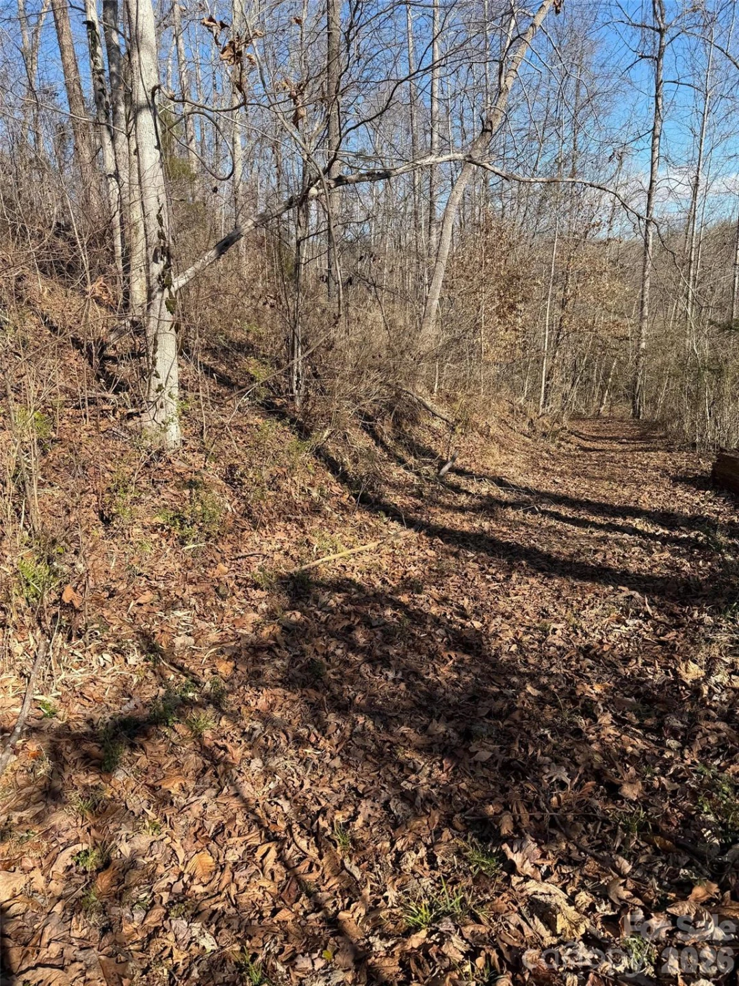 000 Rambling Creek Road #11