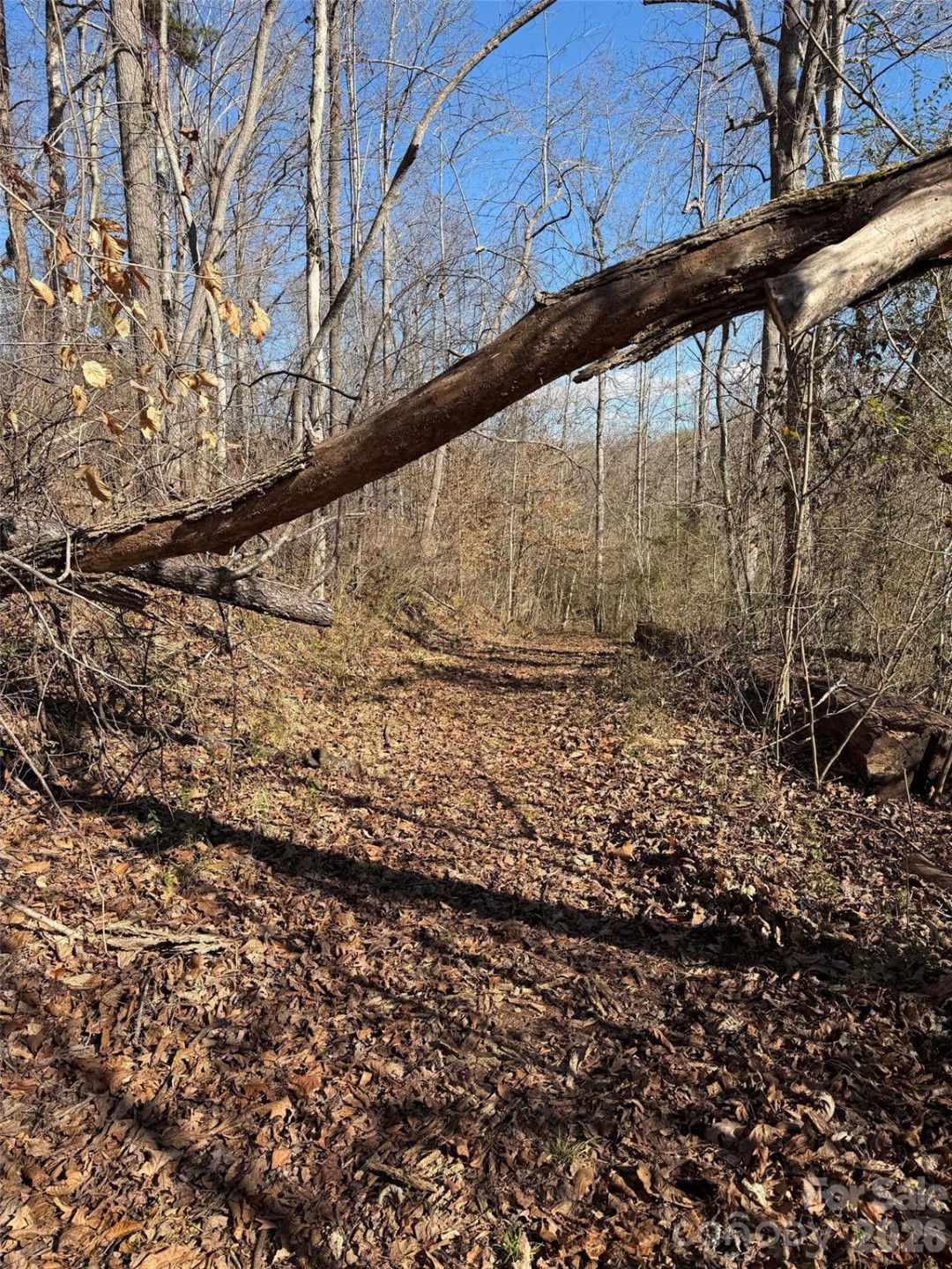 000 Rambling Creek Road #11 - Photo 2