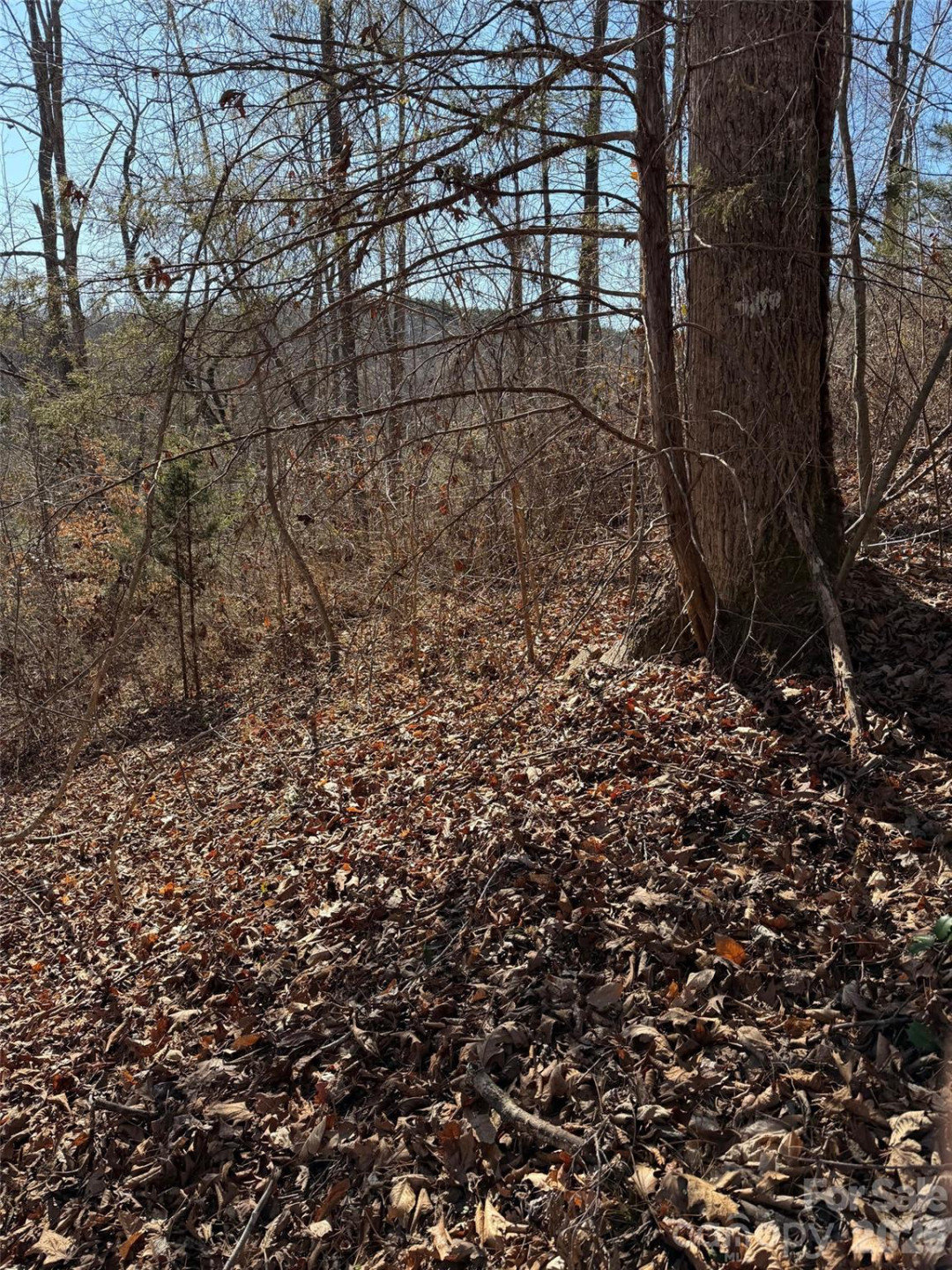 000 Rambling Creek Road #11 - Photo 4